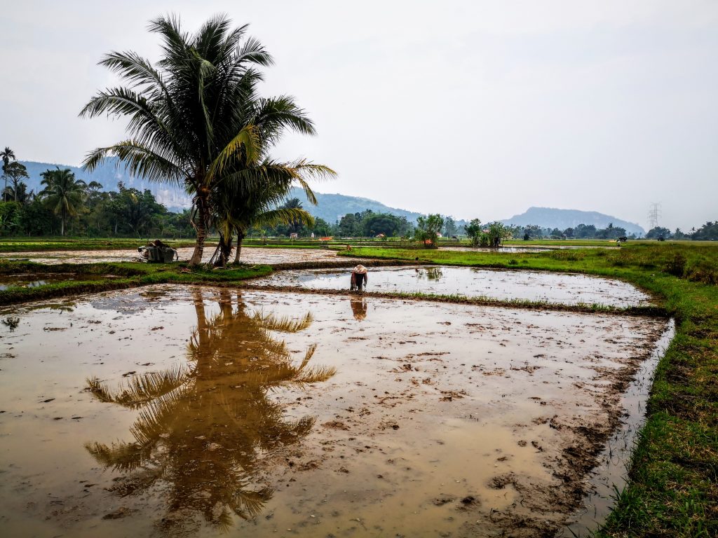 Slapen in een Grot - Harau Vallei, Sumatra