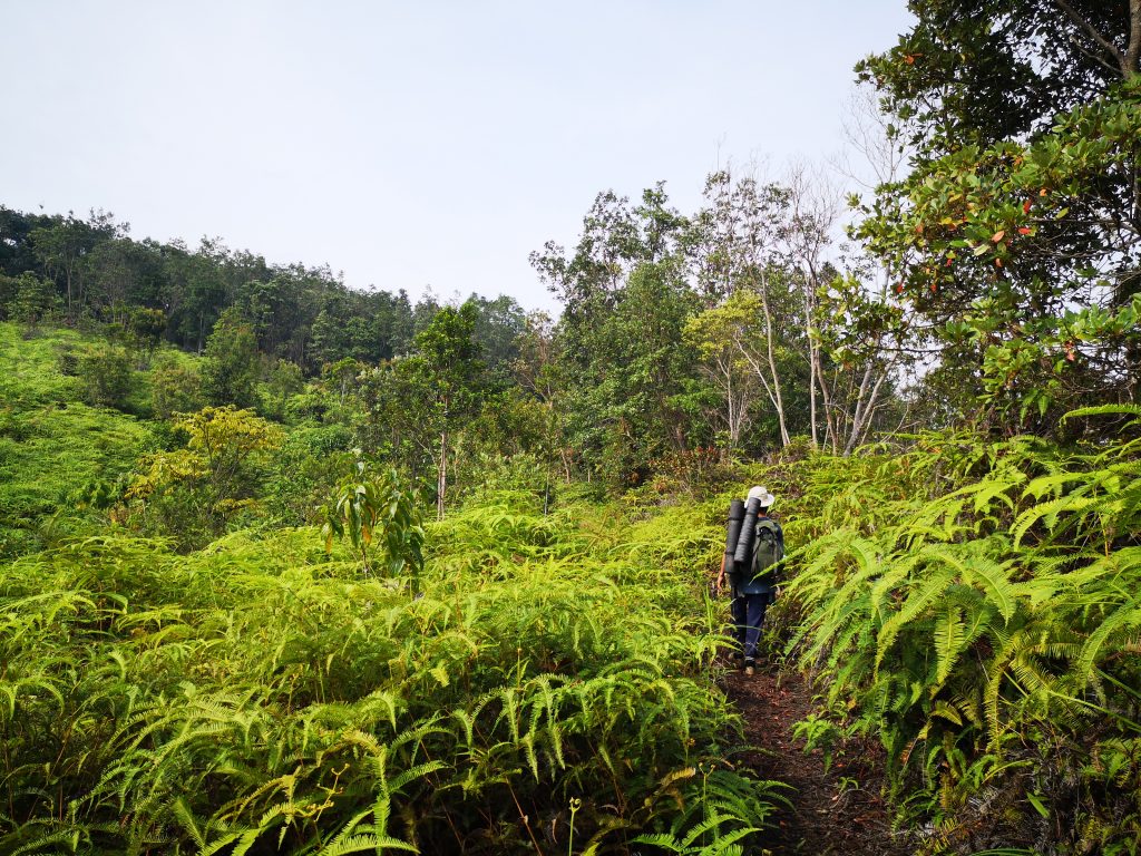 Slapen in een Grot - Harau Vallei, Sumatra