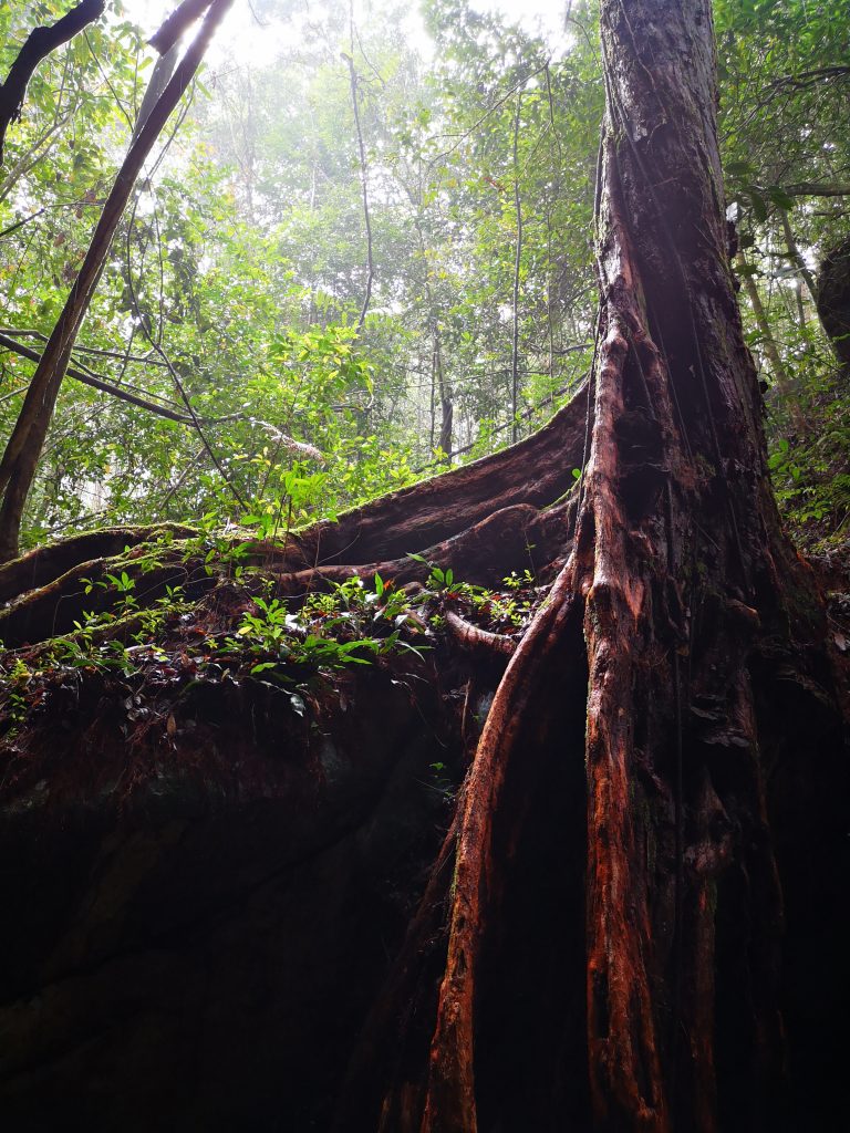 Adventurous Travel: Sleeping in a Cave - Harau Valley, Sumatra