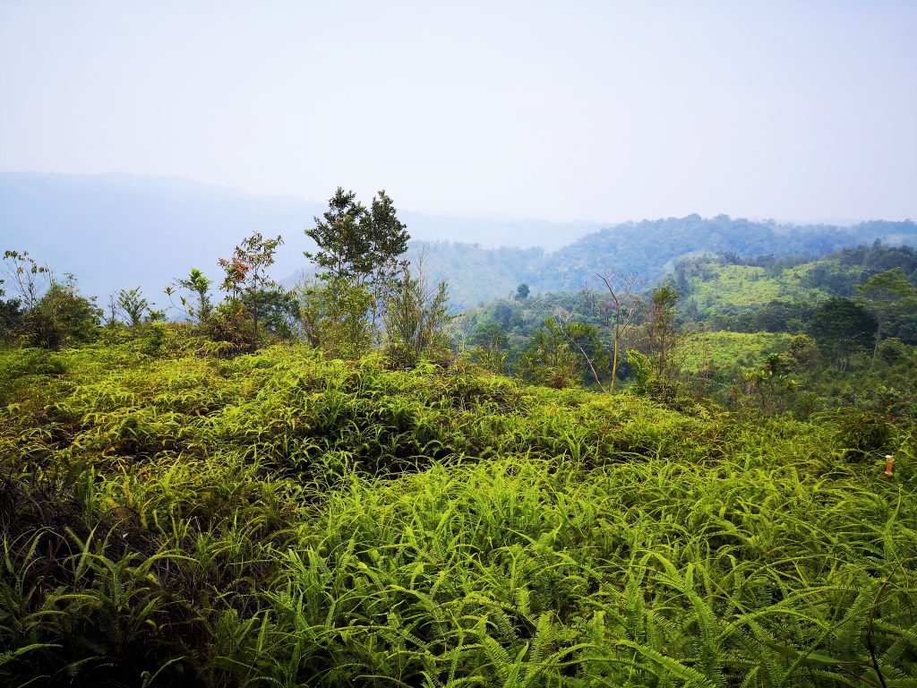 Slapen in een grot - Harau Vallei - Sumatra