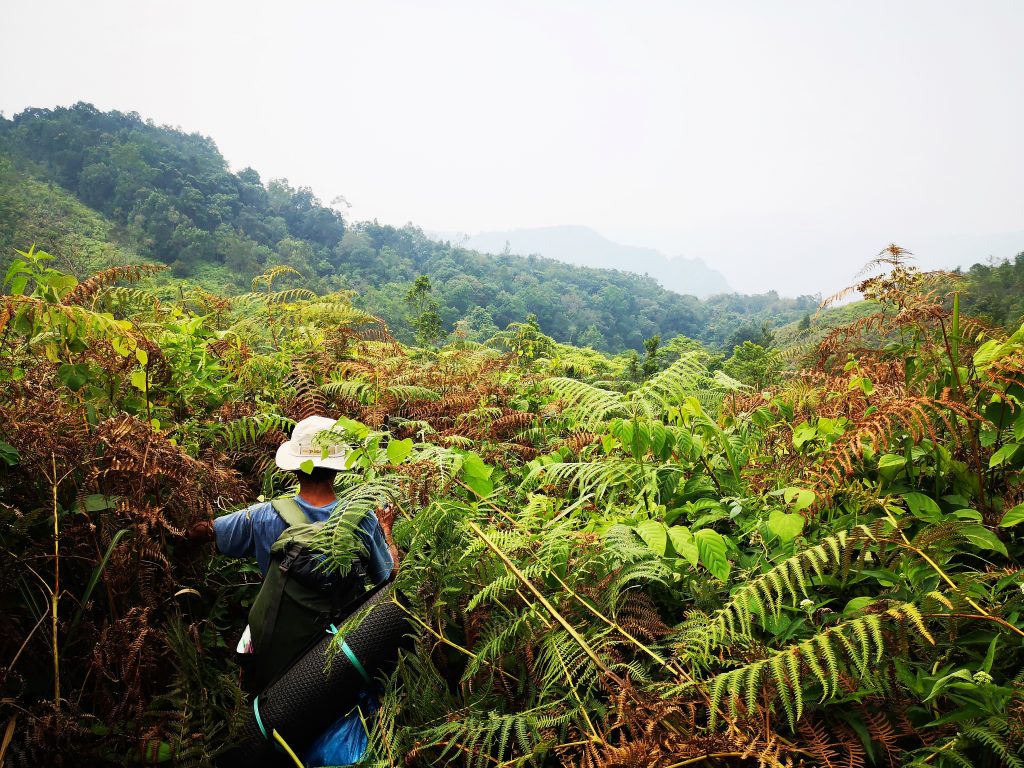 Harau Vallei -Sumatra