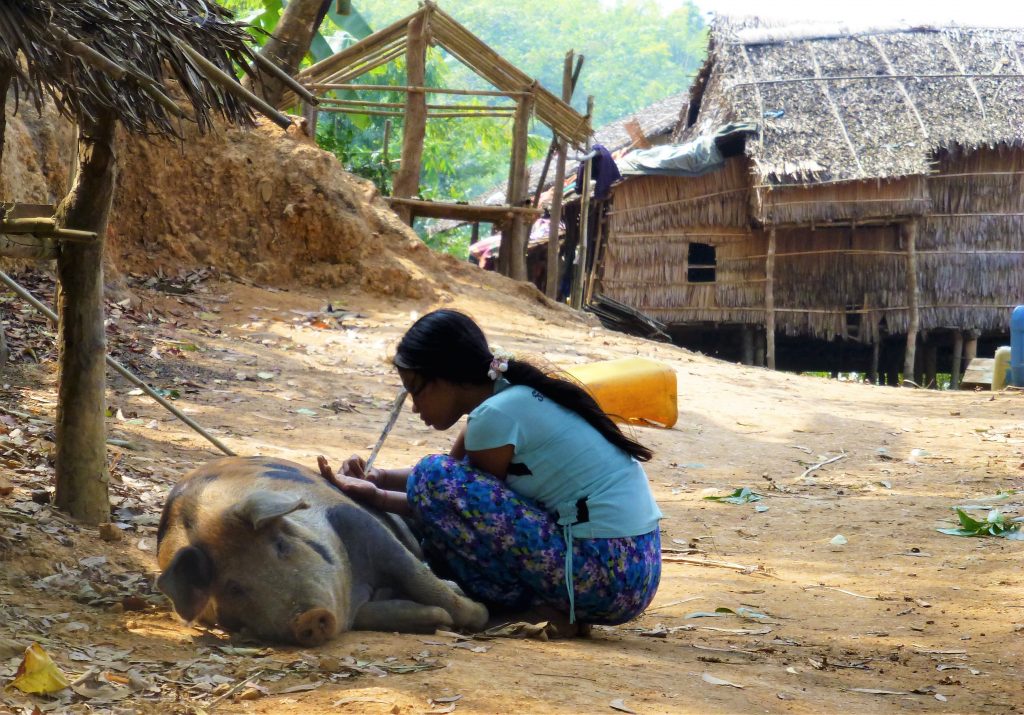 Vissersdorp bezoeken nabij Chaung Tha - Myanmar