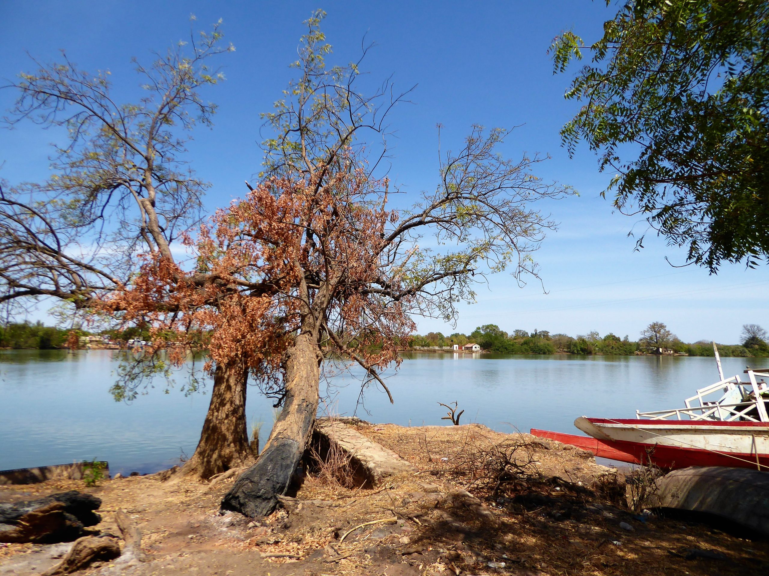 Gambia rivier - The Gambia