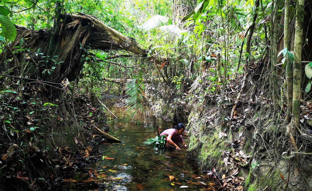 Sumatra, Indonesie Mentawai Eilanden 