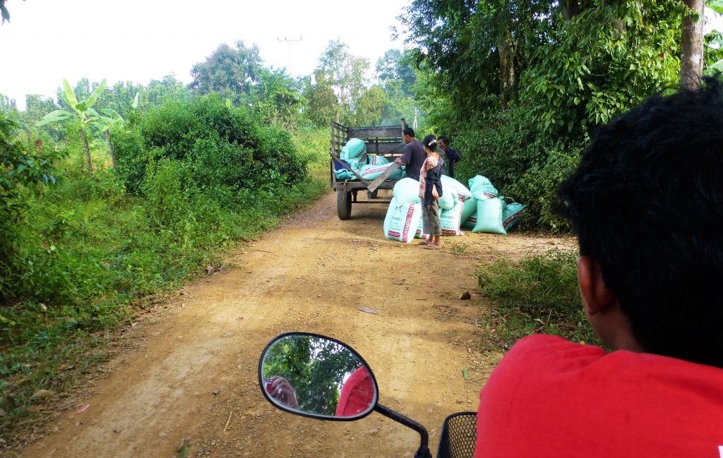 Vierduizend Eilanden - Si Phan Don, Laos