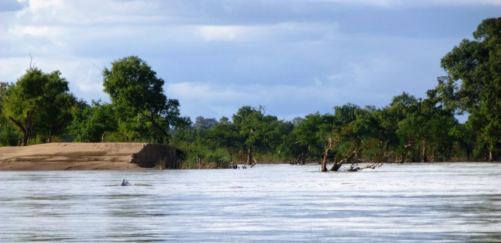 Vierduizend Eilanden - Si Phan Don, Laos