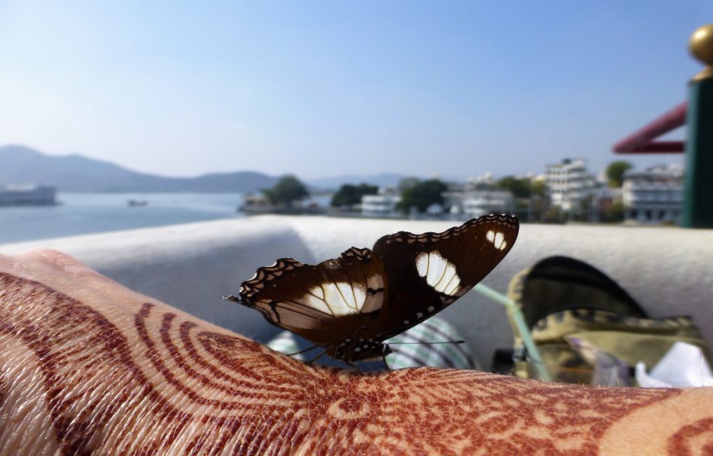 Stadsgids Udaipur - Wat te doen in Udaipur - Rajasthan, India