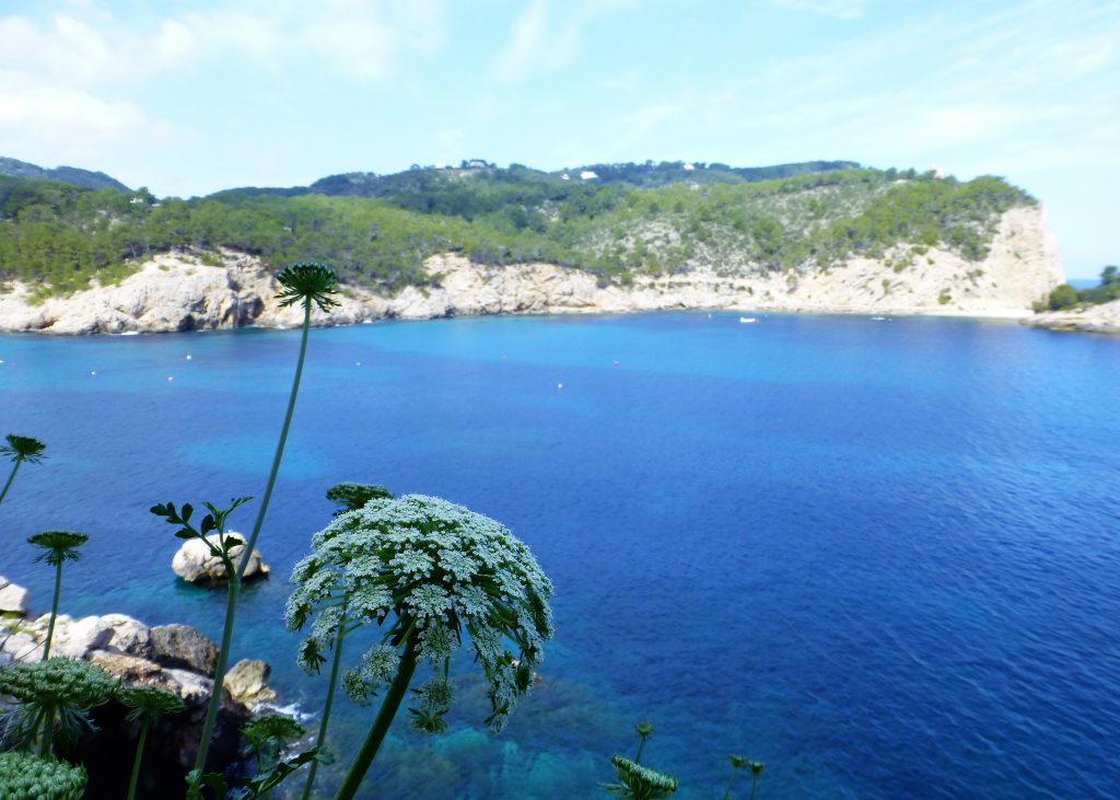 Port de Sant Miquel - Discover Ibiza