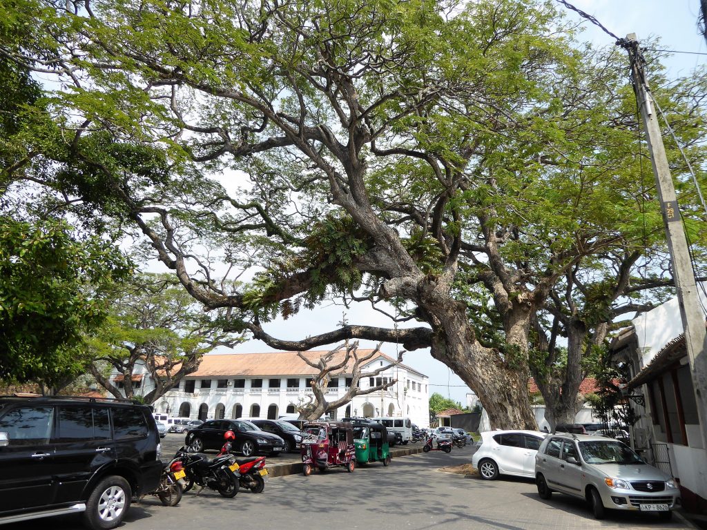 Walvissen spotten bij Mirissa en Galle bezoeken 