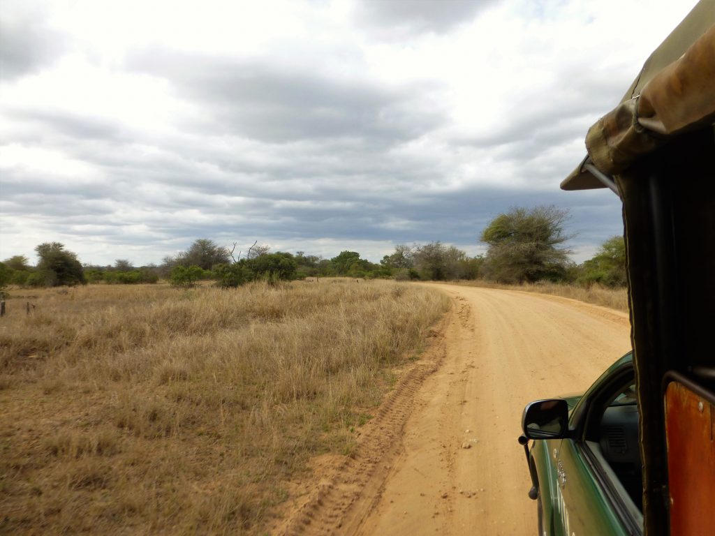 4 dgn Trip met Safari in NP Kruger - Johannesburg - Zuid Afrika