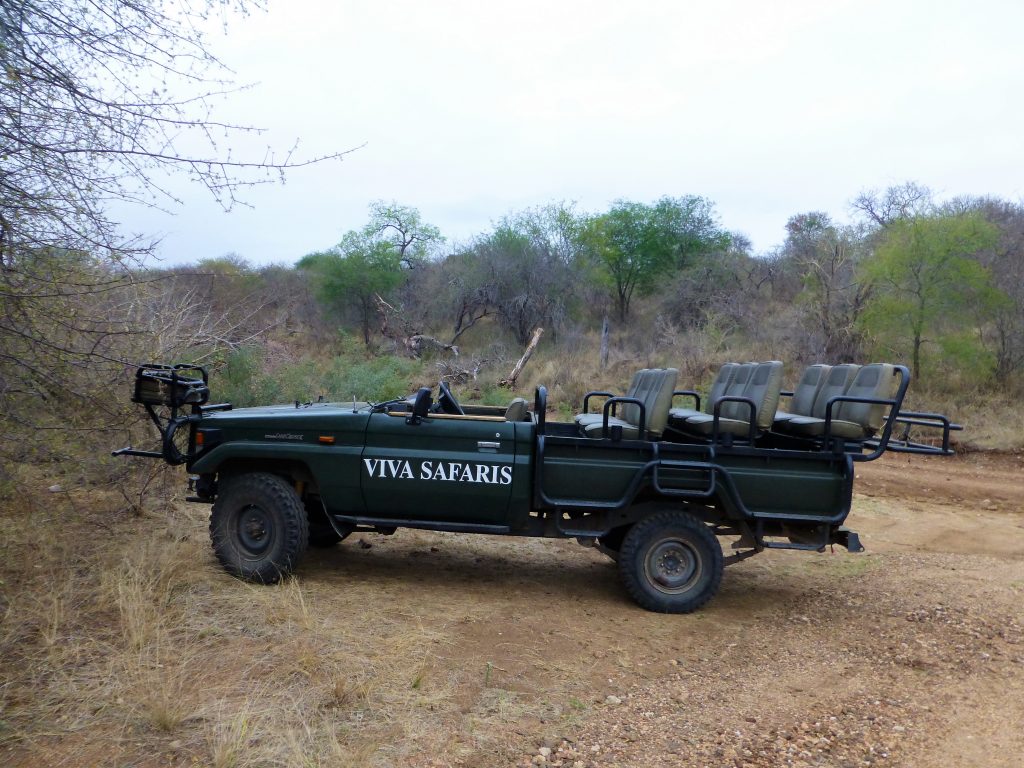 4 dgn Trip met Safari in NP Kruger - Johannesburg - Zuid Afrika 