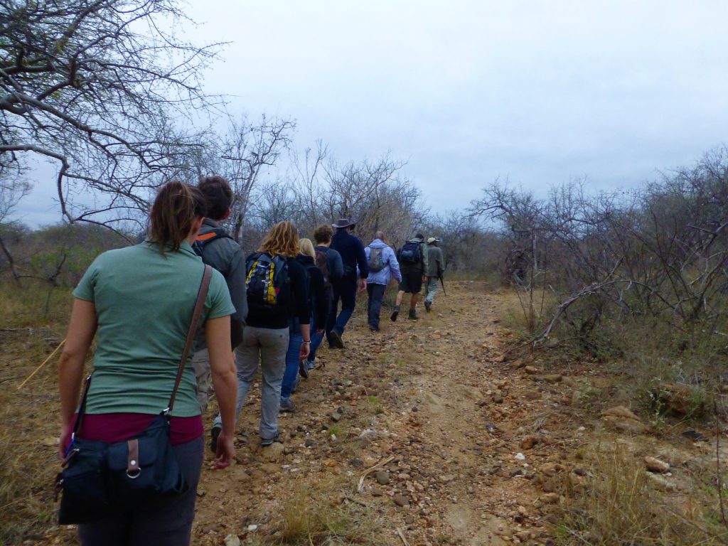 4 dgn Trip met Safari in NP Kruger - Johannesburg - Zuid Afrika 