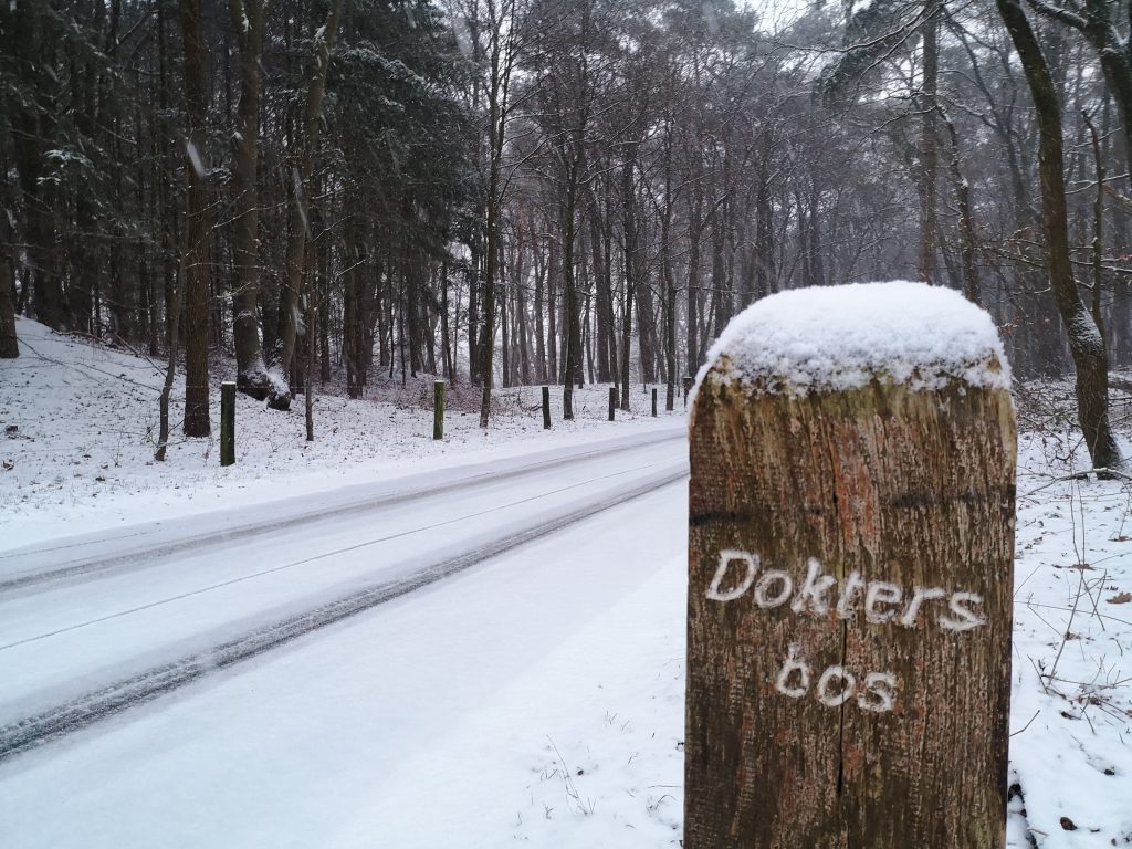 Het bos waar ik vroeger wel doorheen fietste - Doktersbos