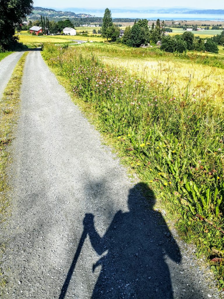 Meditatief Wandelen - Mindful Wandelen