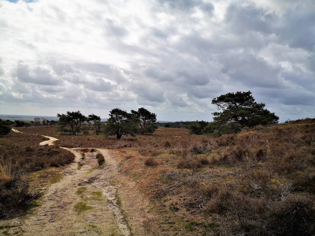 Meditatief Wandelen - Mindful Wandelen