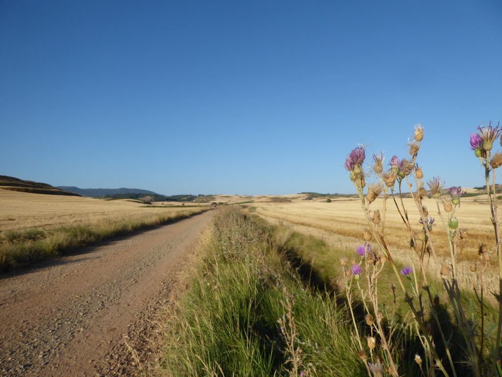 Kilometers lang niets te vinden in de meseta - Camino Frances, Spanje