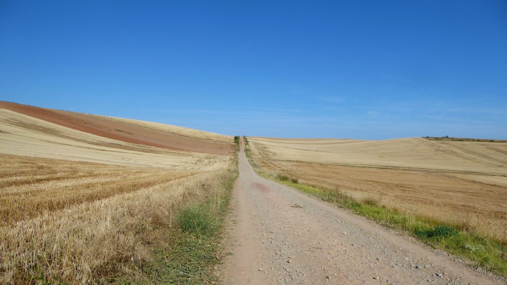 Mindful Wandelen - Meditatief Wandelen