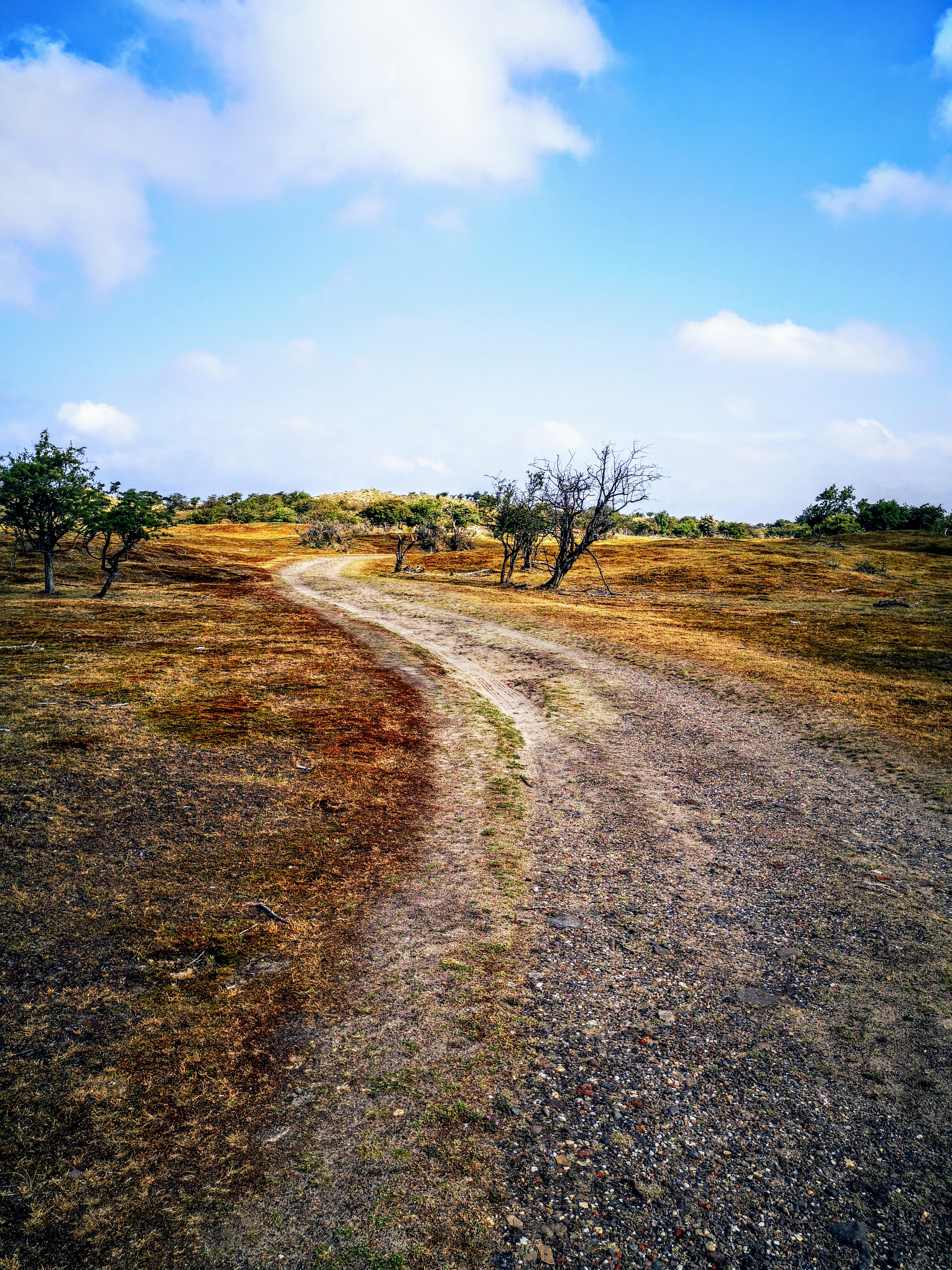 Long distance hiking path in The Netherlands