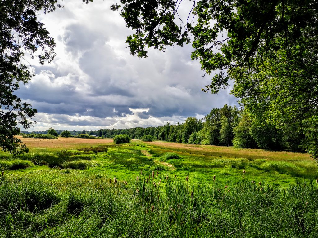 Stuwwalroute - Mooiste Wandelingen Overijssel