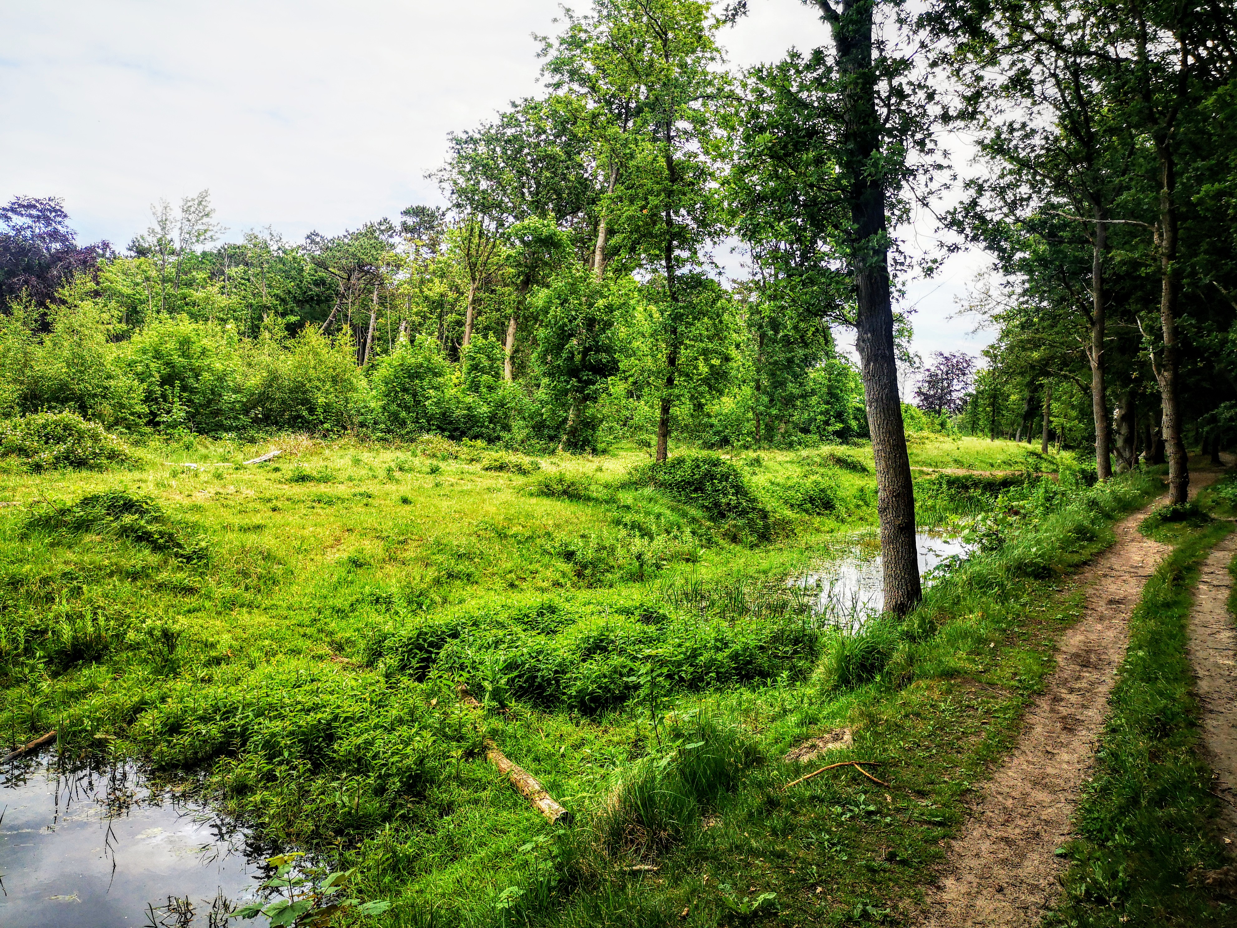 Hiking the Dutch Coastal path 2 - Long distance hiking path in The Netherlands