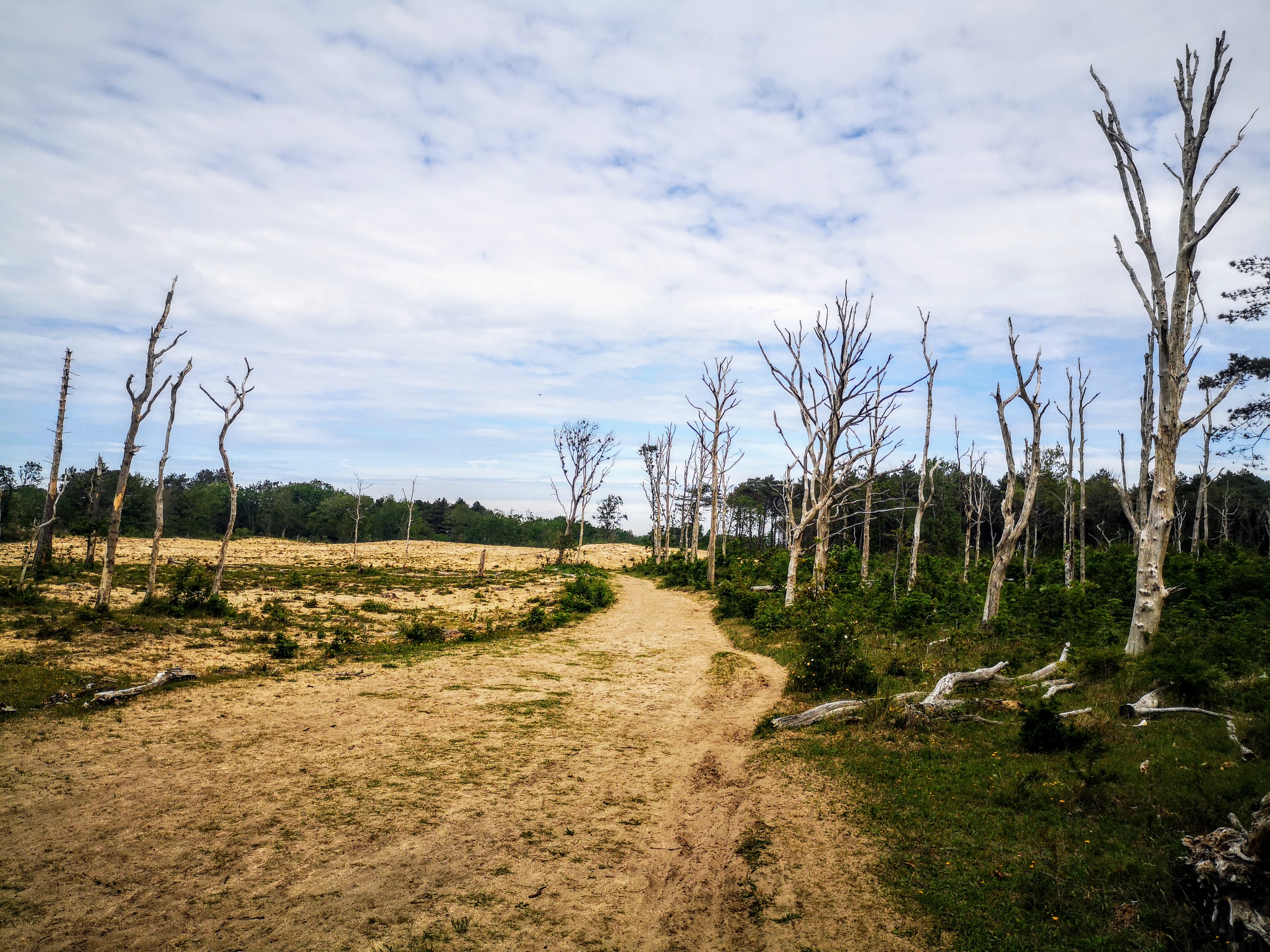 Hiking the Dutch Coastal path 2 - Long distance hiking path in The Netherlands