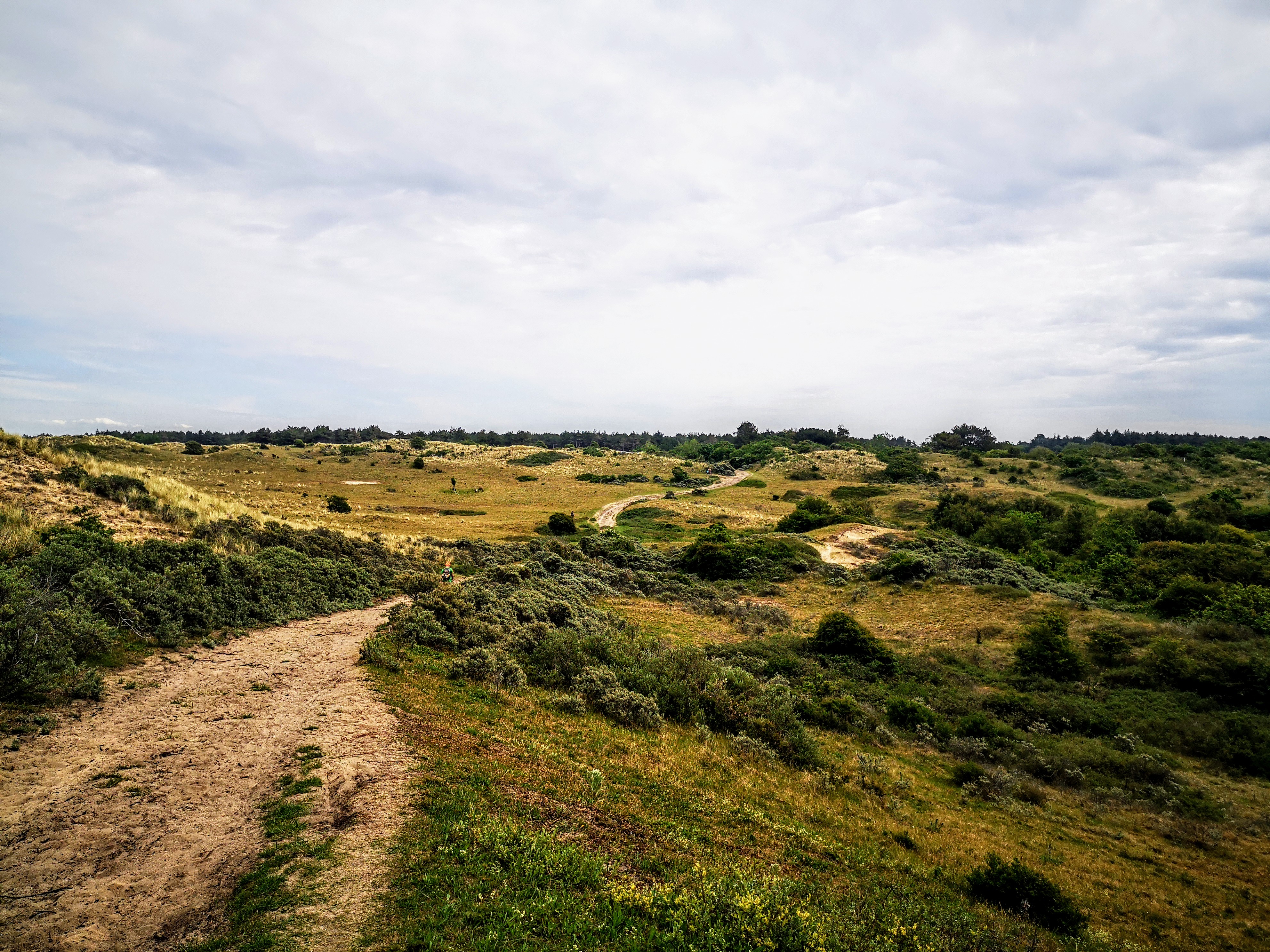 Hiking the Dutch Coastal path 2 - Long distance hiking path in The Netherlands