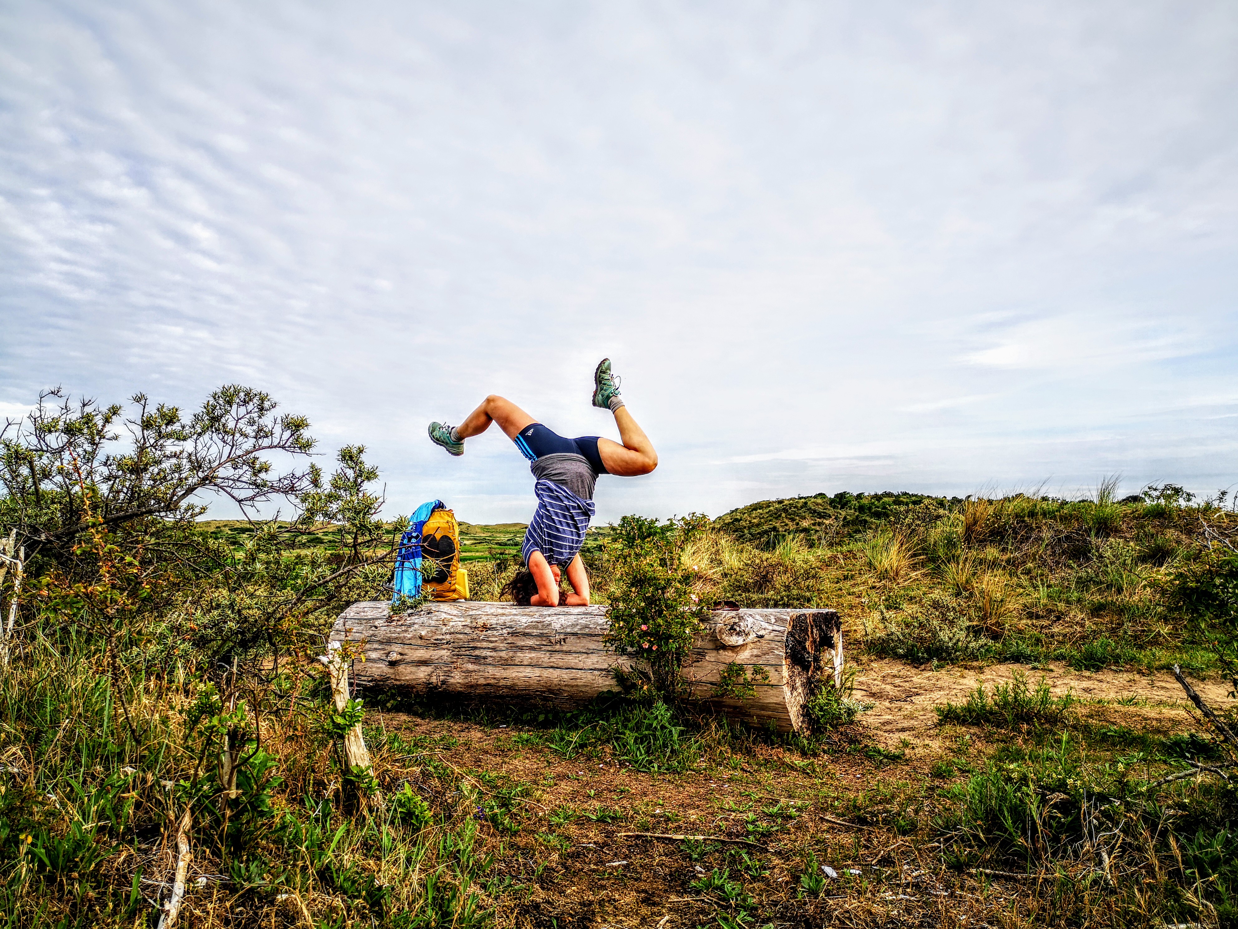 Yoga in the Dutch Dunes