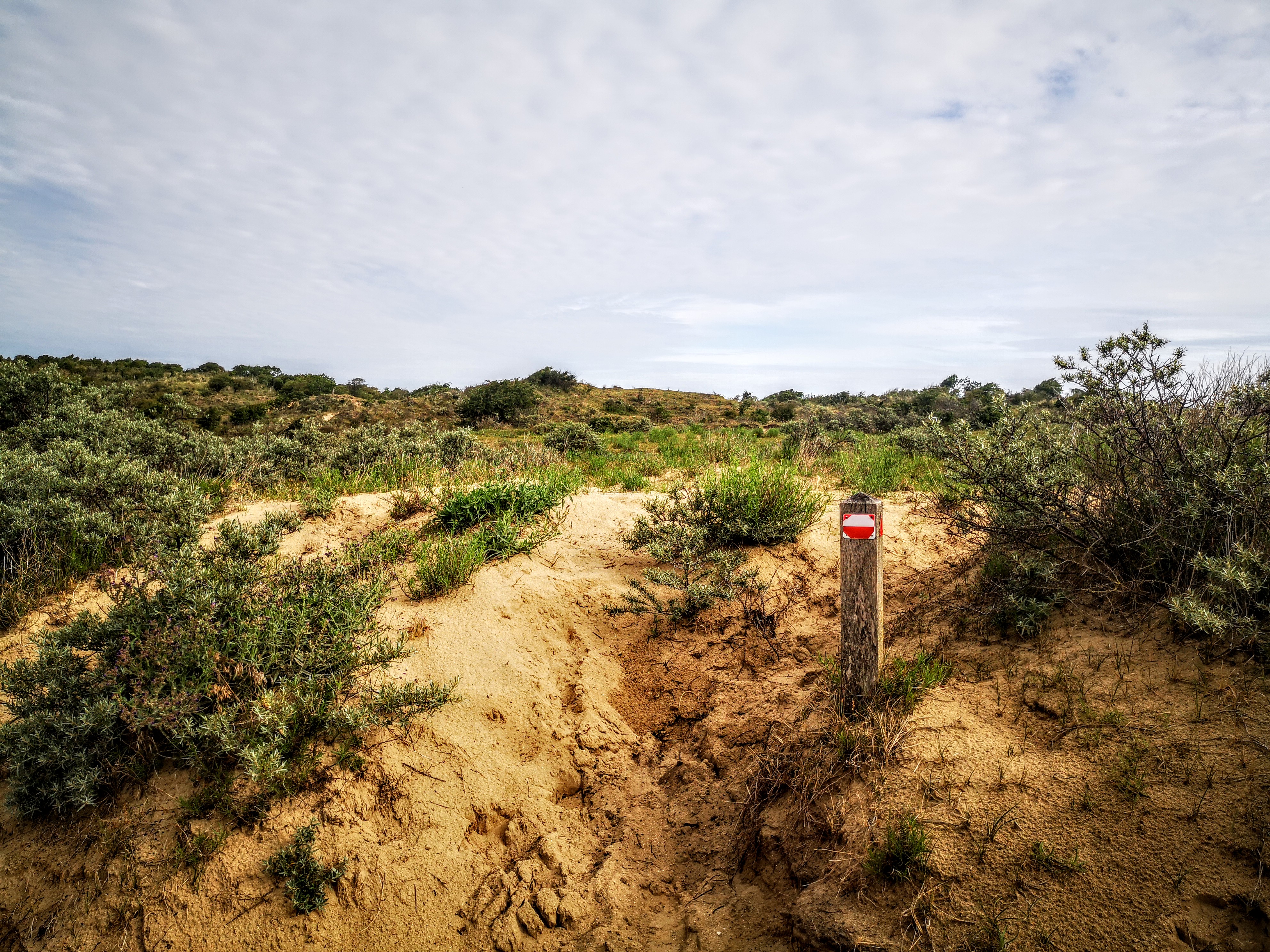 Long distance hiking path in The Netherlands