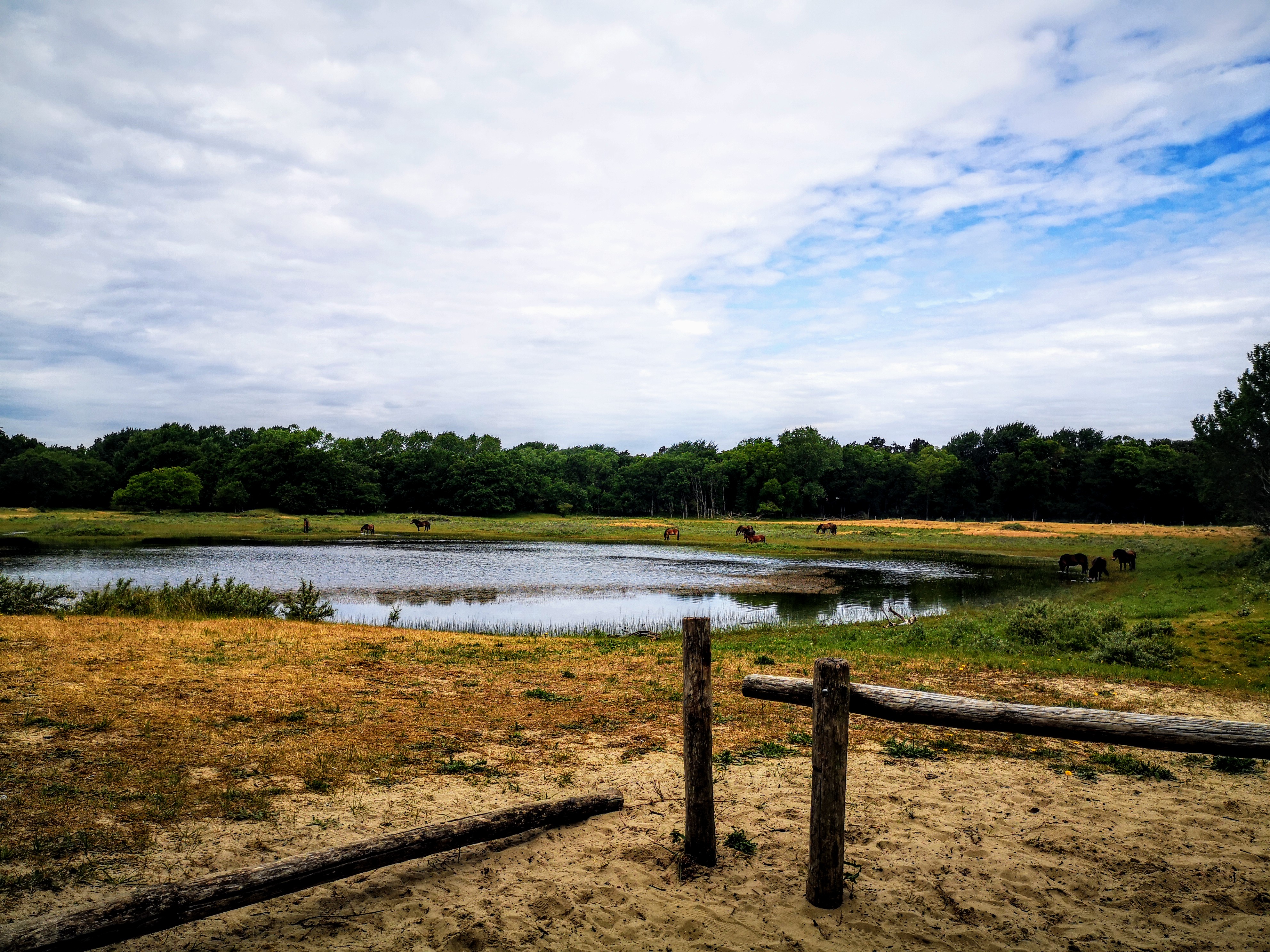 Hiking the Dutch Coastal path 2 