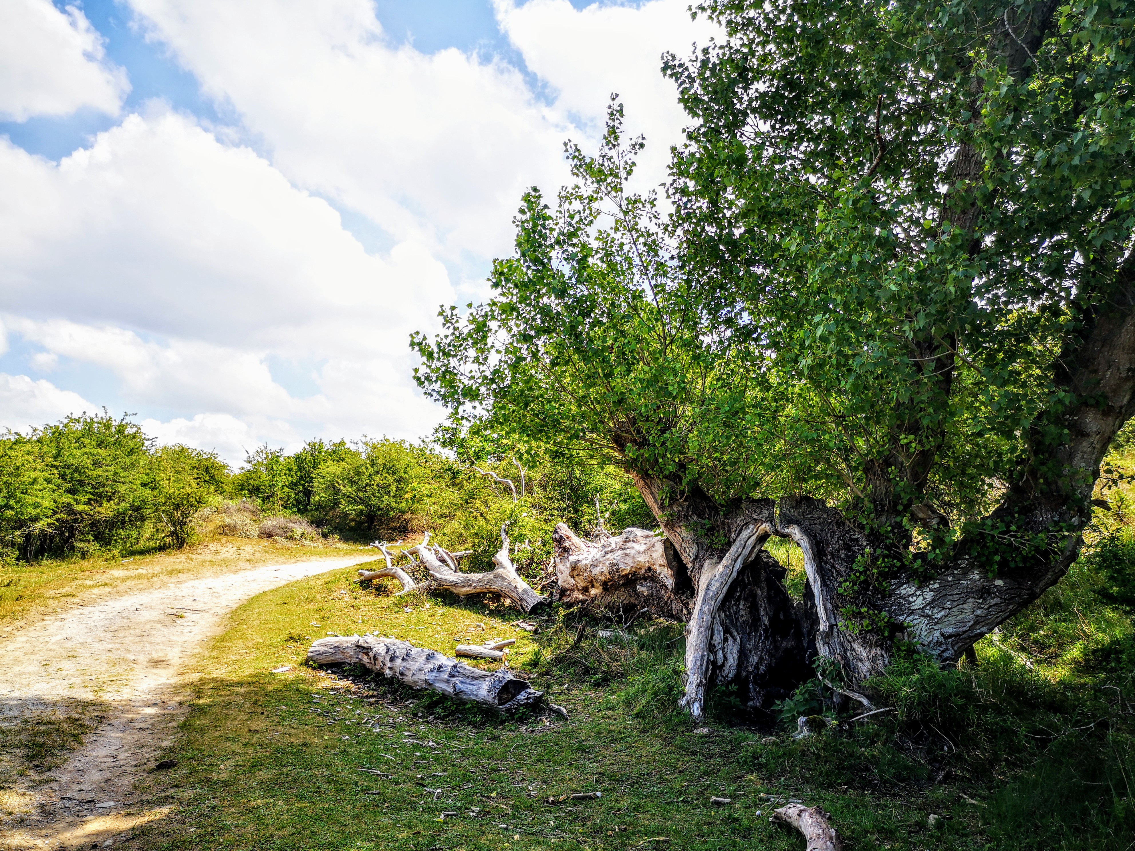 Long distance hiking path in The Netherlands