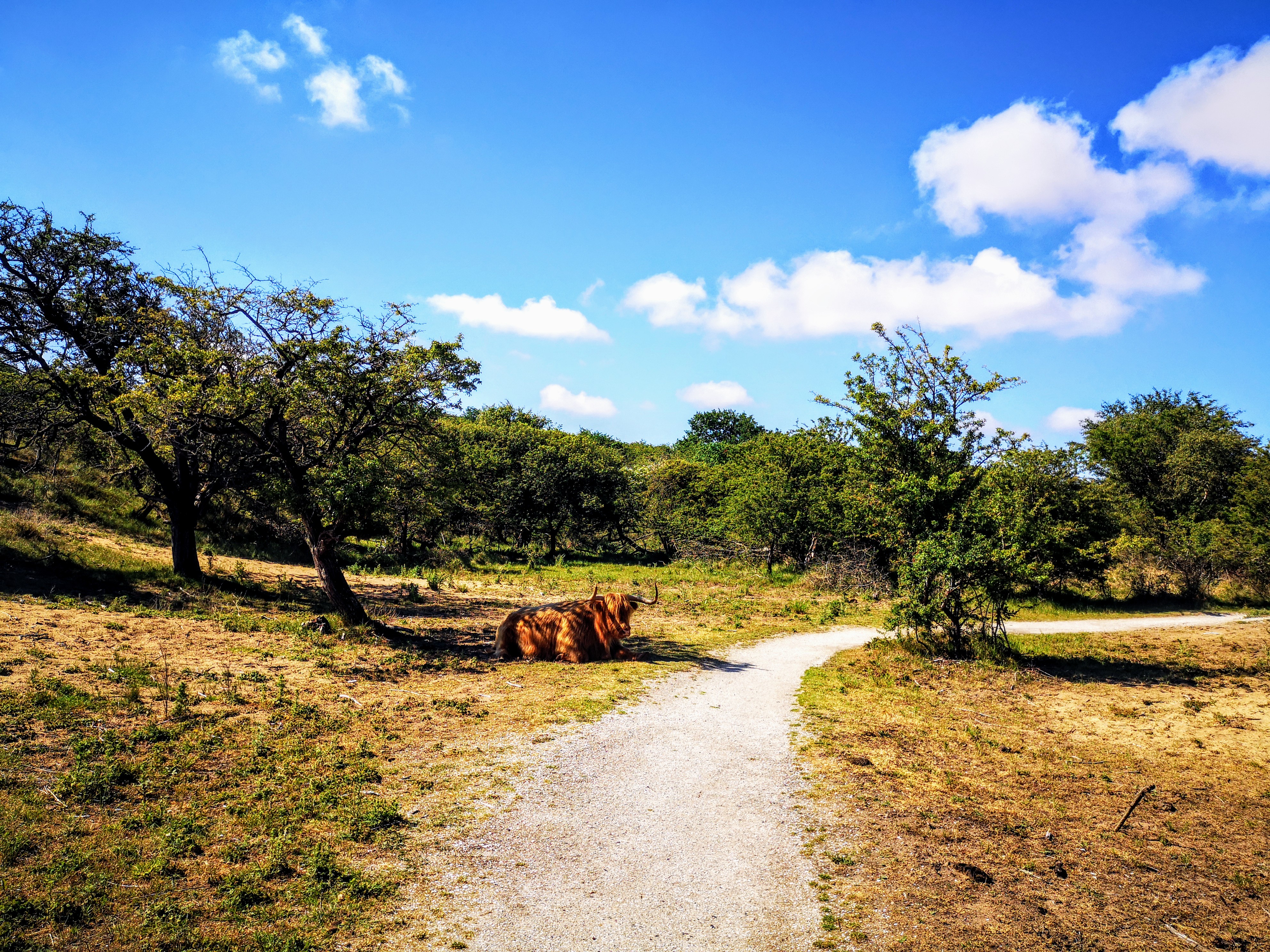 Long distance hiking path in The Netherlands