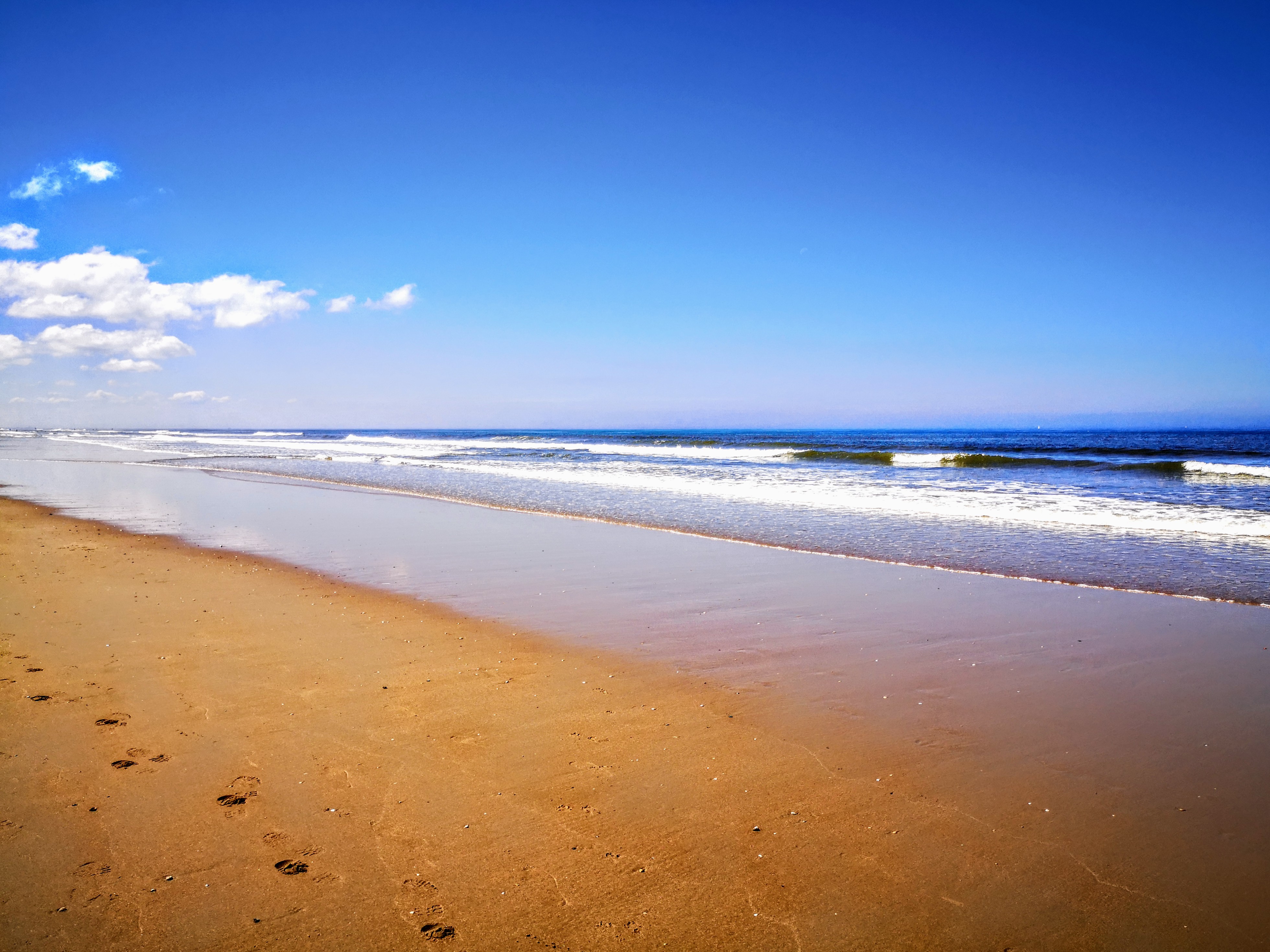 Beach of The Netherlands