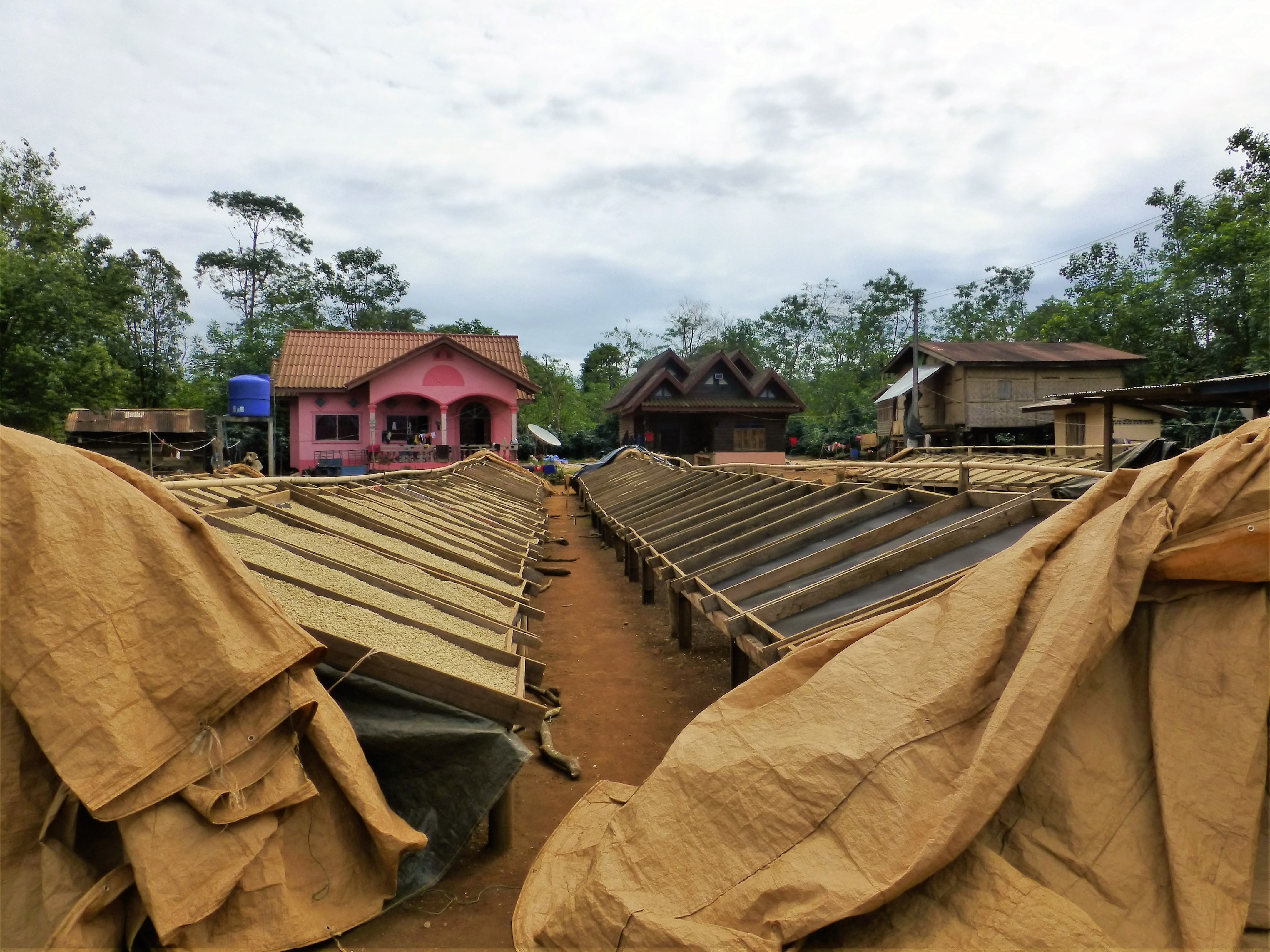 Ontdek Pakse - Laos Wat te doen nabij Pakse - Bolaven Plateau