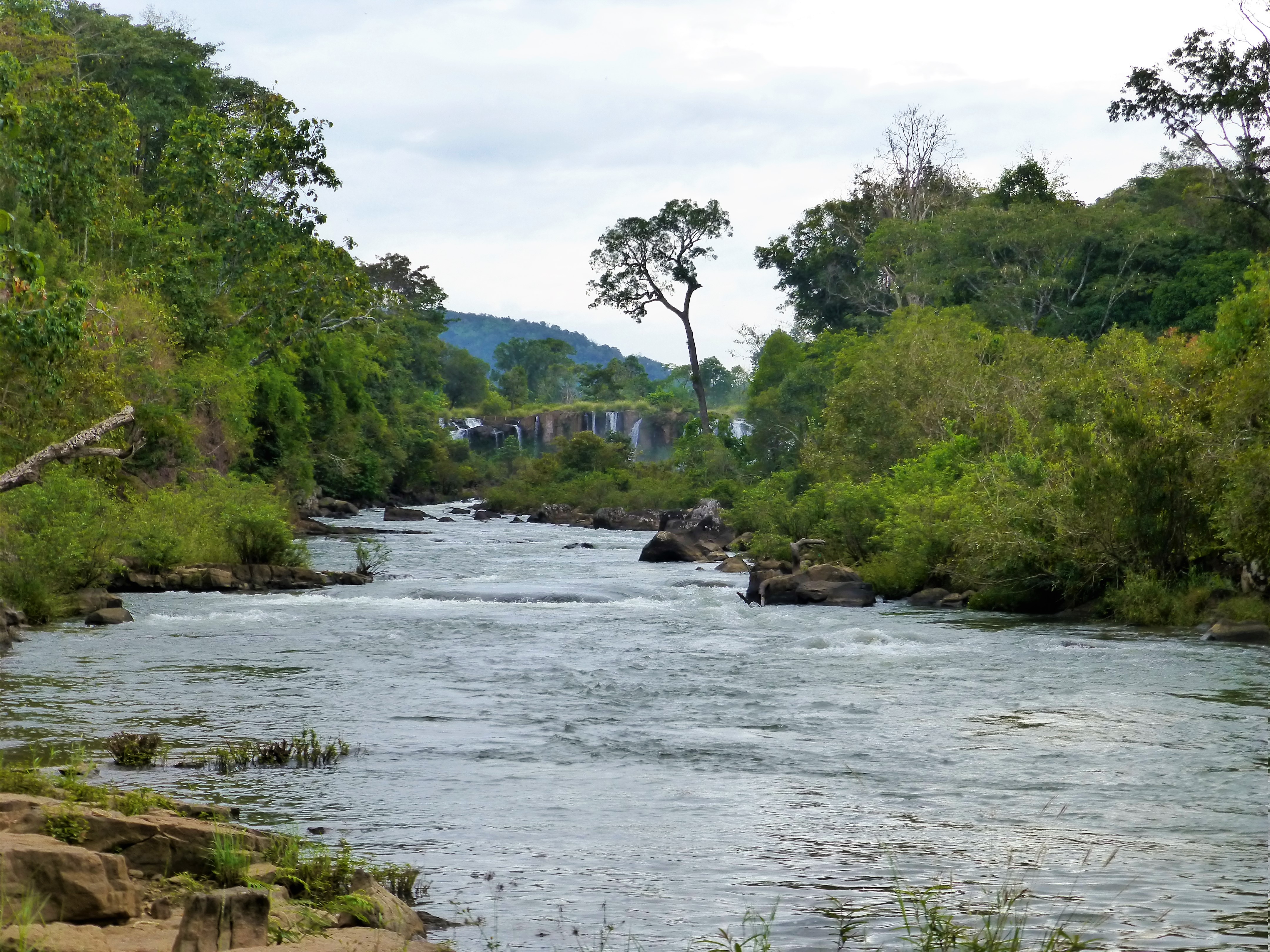 Travel Guide Pakse - Laos / What to do near Pakse - Bolaven Plateau