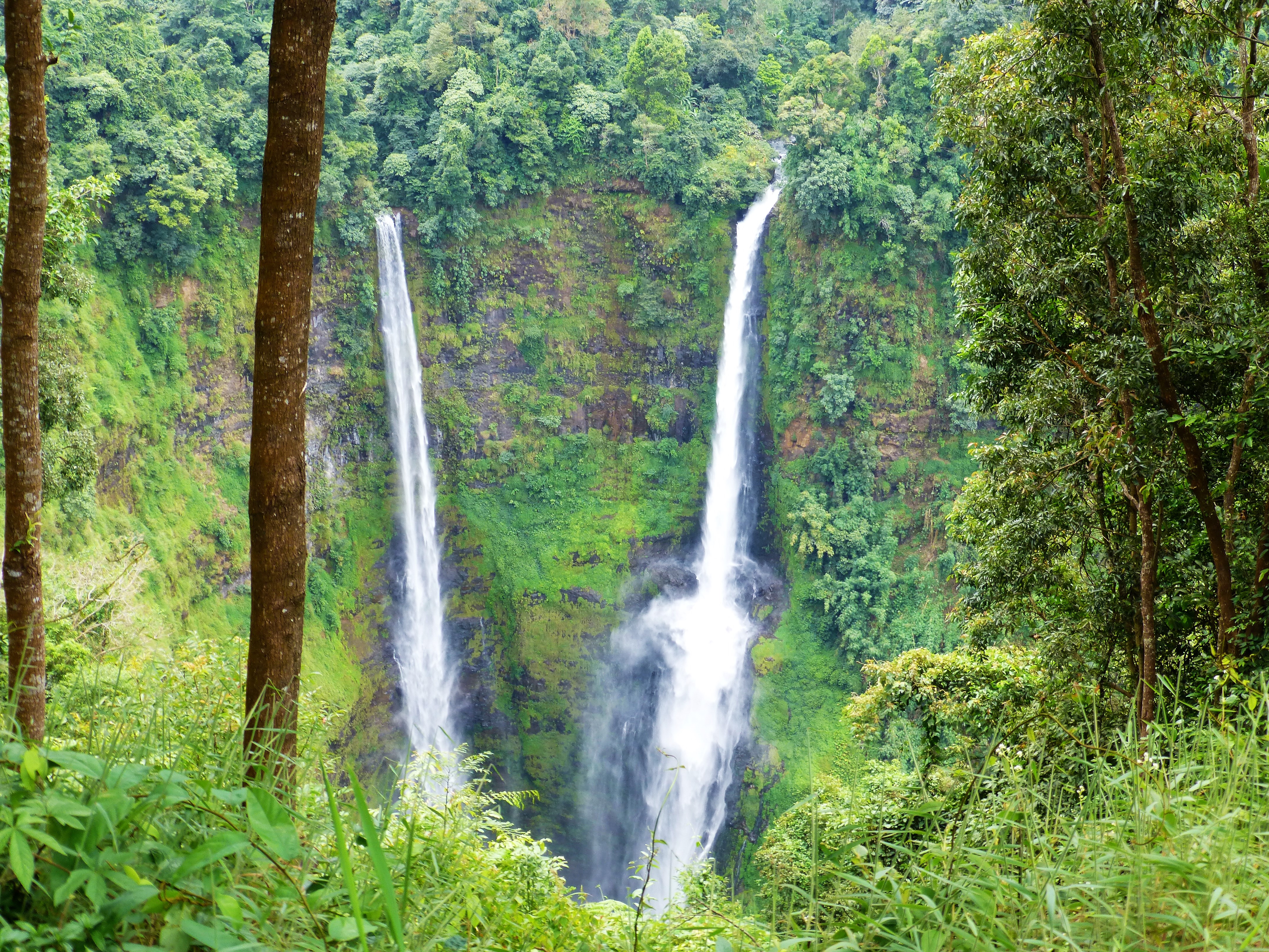 What to do near Pakse - Bolaven Plateau - Tad Fane Waterval