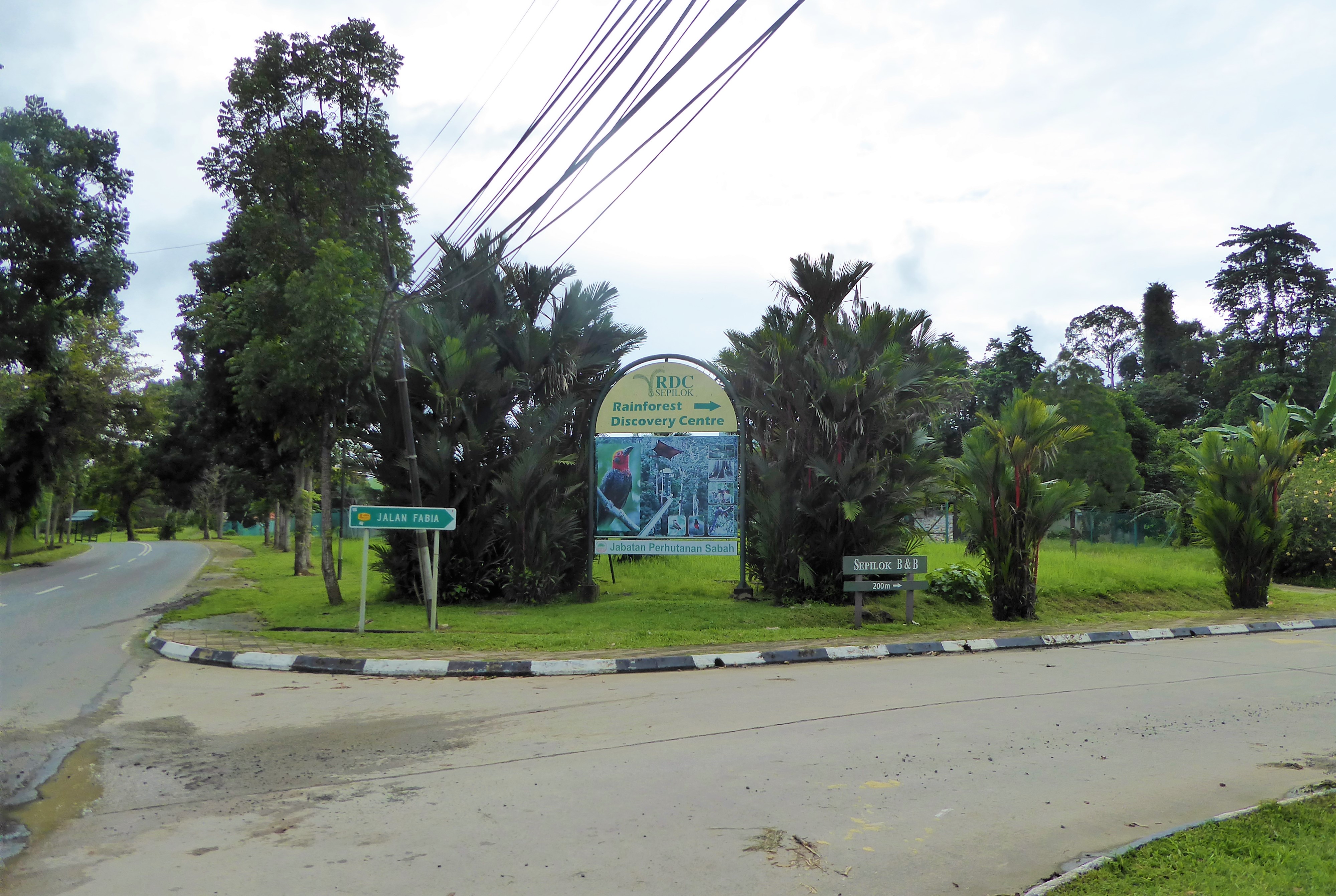 Reisgids Sepilok, Borneo - Maleisië / Wat te doen in Sepilok, Sabah