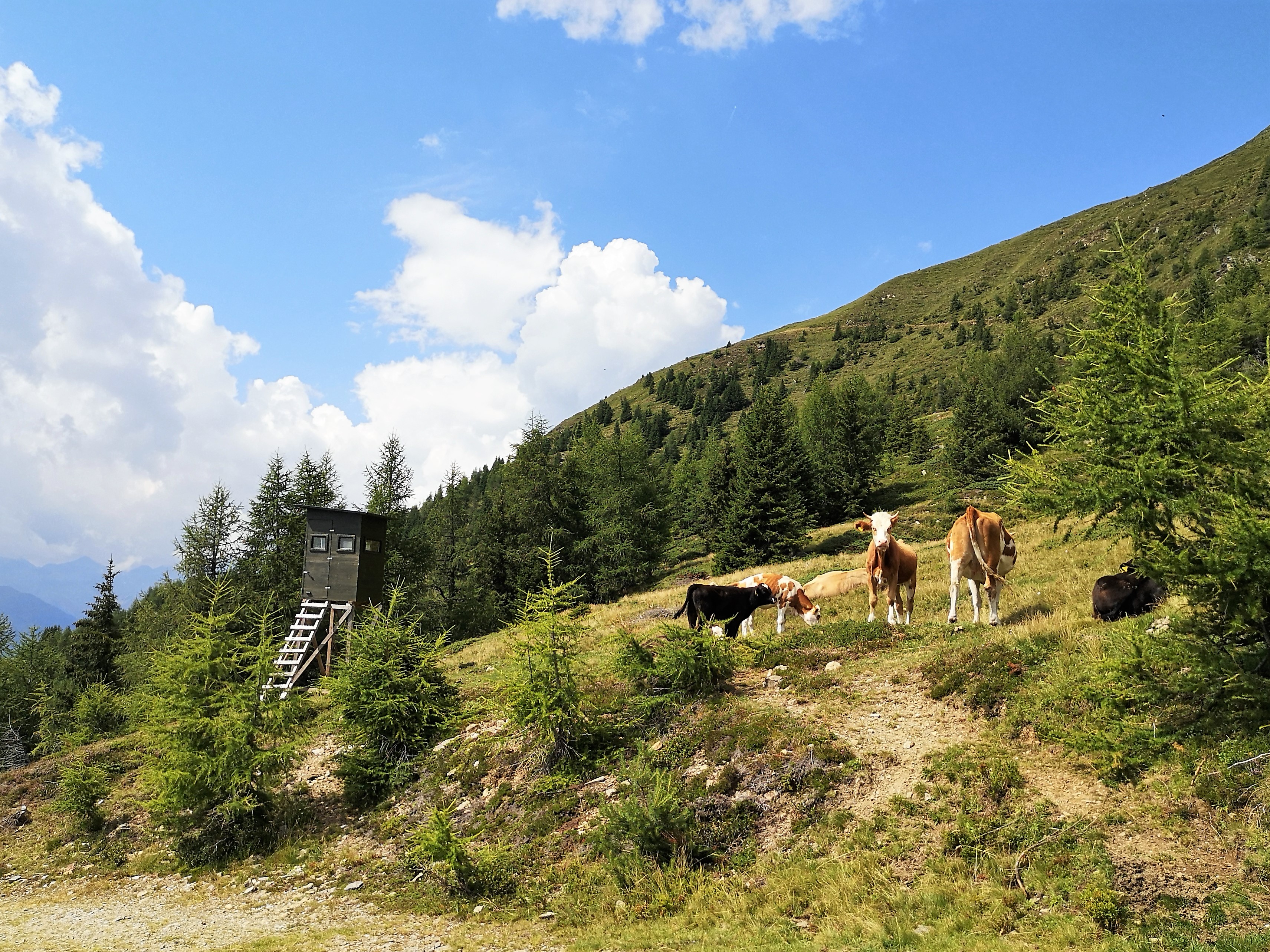 Hiking in Austria on the Alpe Adria Trail - Stage 12