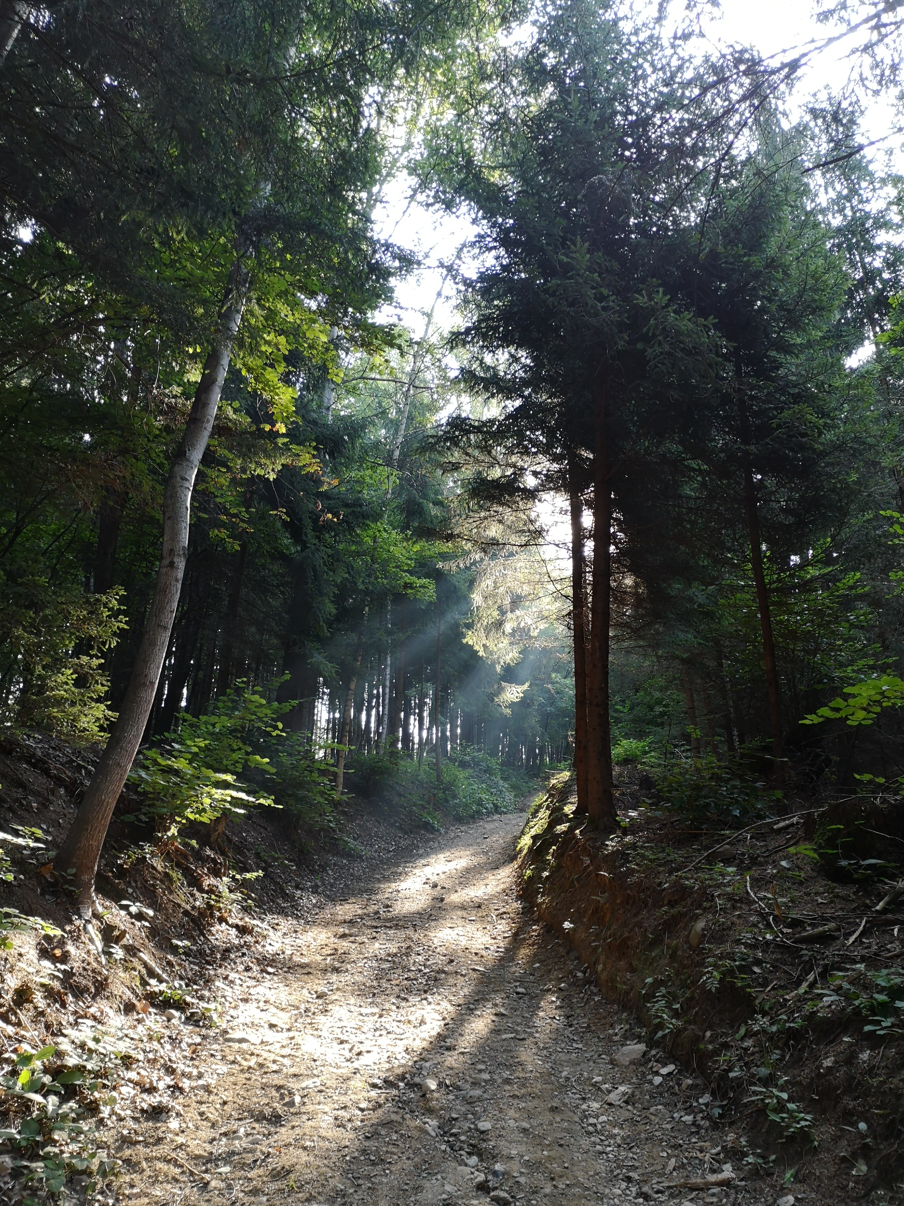 Hiking in Austria on the Alpe Adria Trail - Stage 12