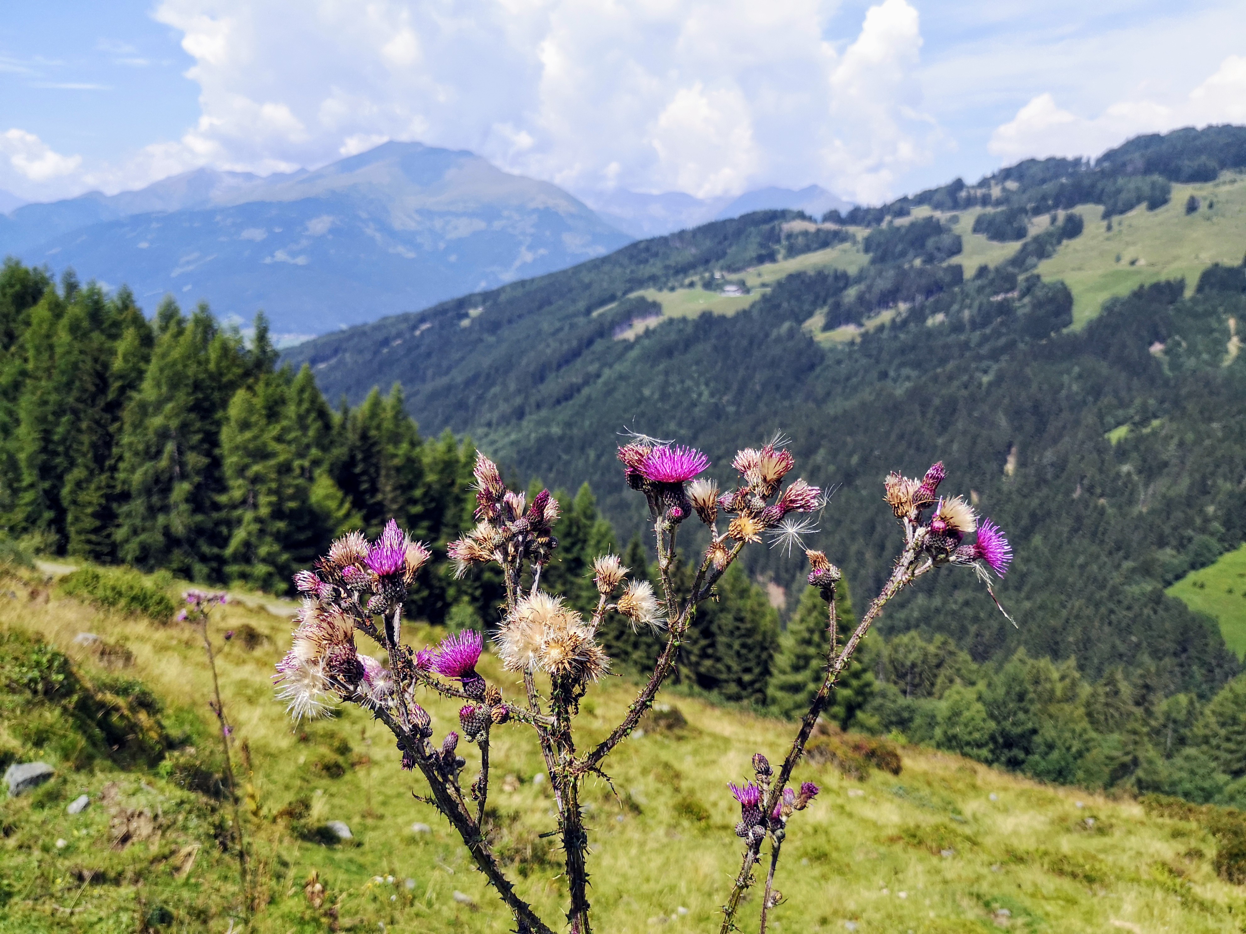 Hiking in Austria on the Alpe Adria Trail - Stage 12