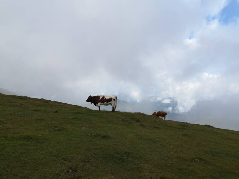 Alpe Adria Trail Etappe 16