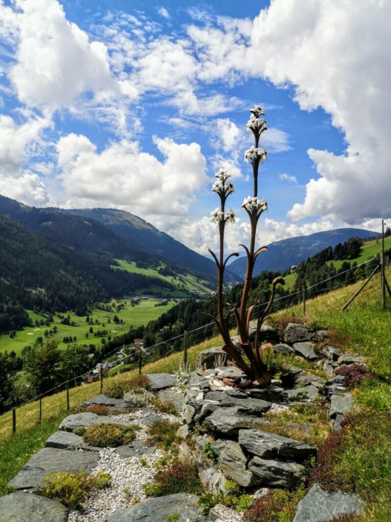 Stage 16 & 17 Alpe Adria Trail - Austria