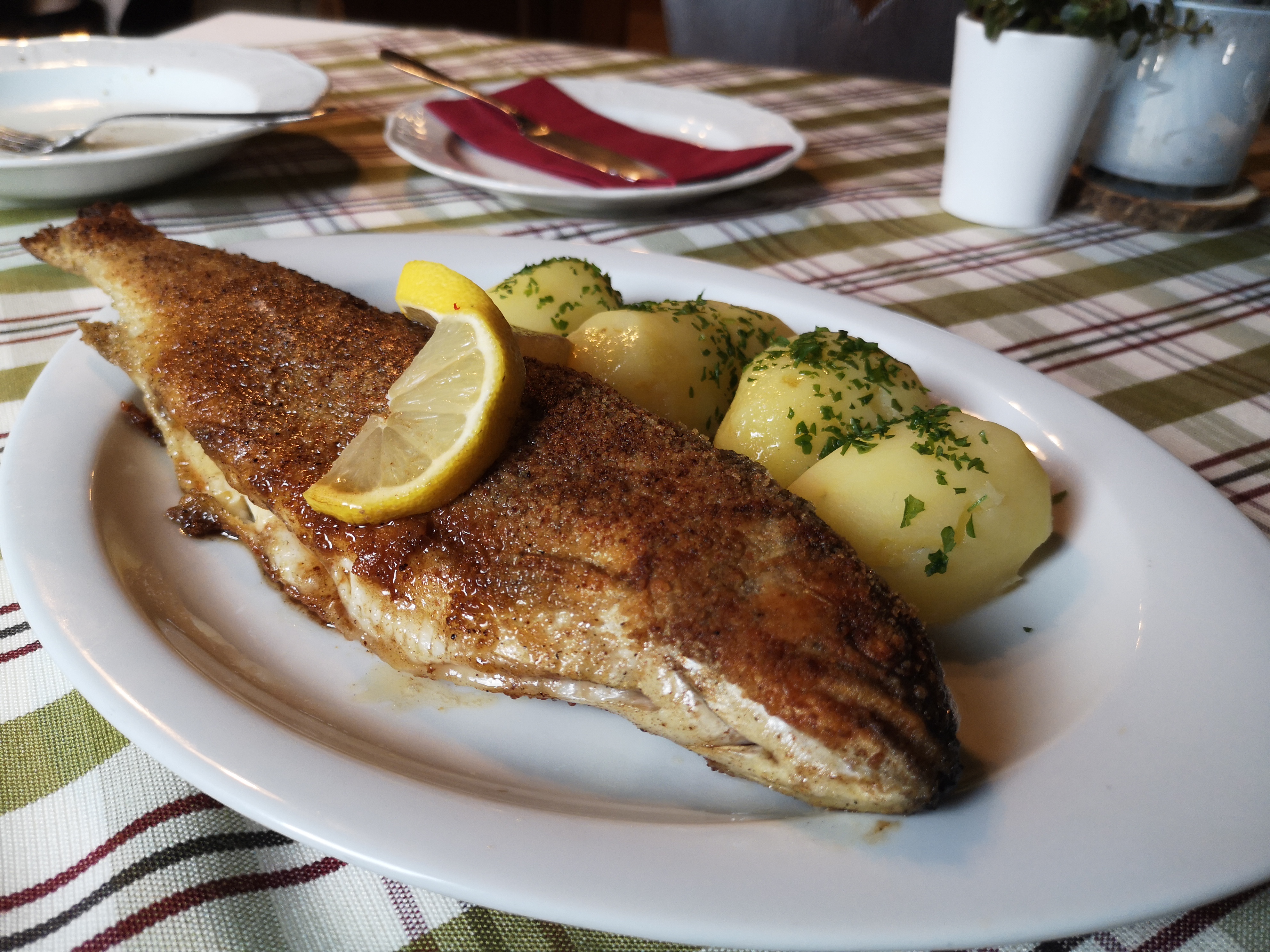 Vis bij Falkerthaus - Alpe Adria Trail