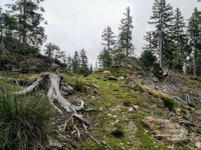 Oostenrijkse Alpen Wandeling