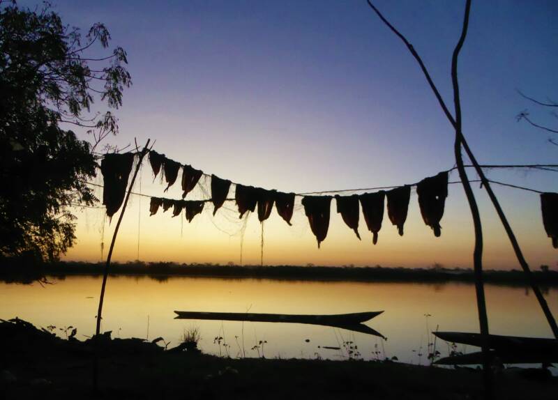 Nachtelijke avonturen - Sunset over de Rivier Gambia