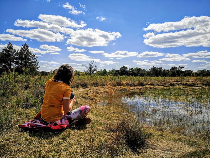 Boetelerveld, Sallandse Zandloper - Mooiste Wandelingen in Overijssel