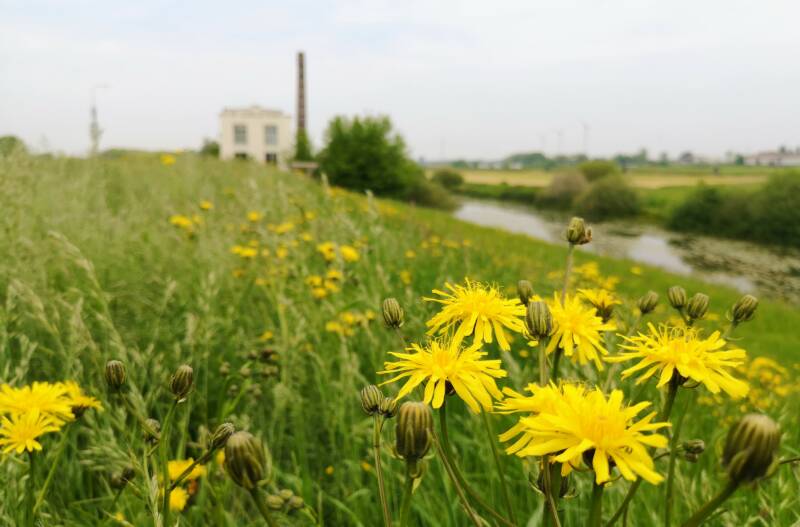 Hanzestedenpad - My Most Beautiful Hikes in Overijssel - The Netherlands