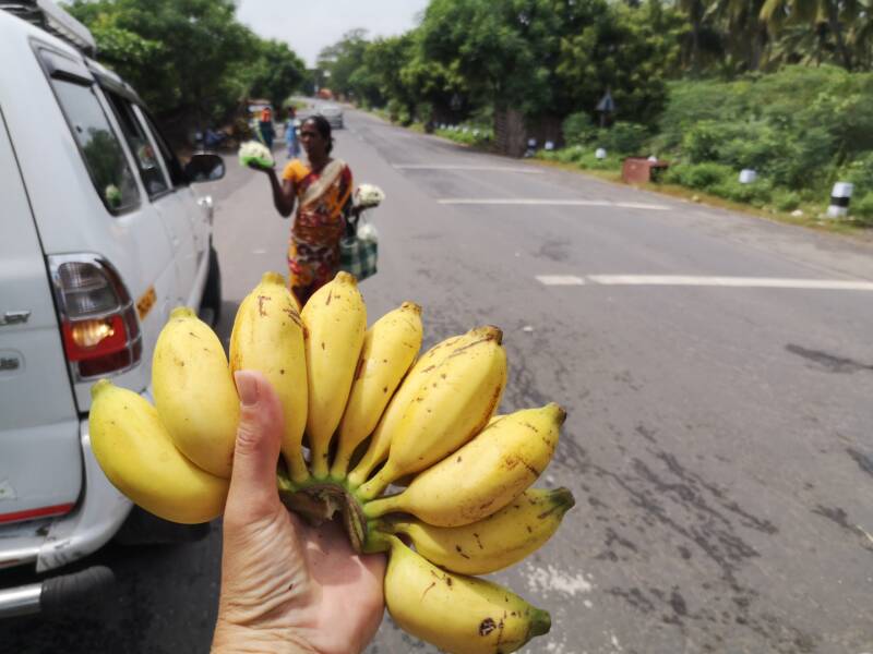 Bananen als lunch tijdens de Rickshaw Challenge