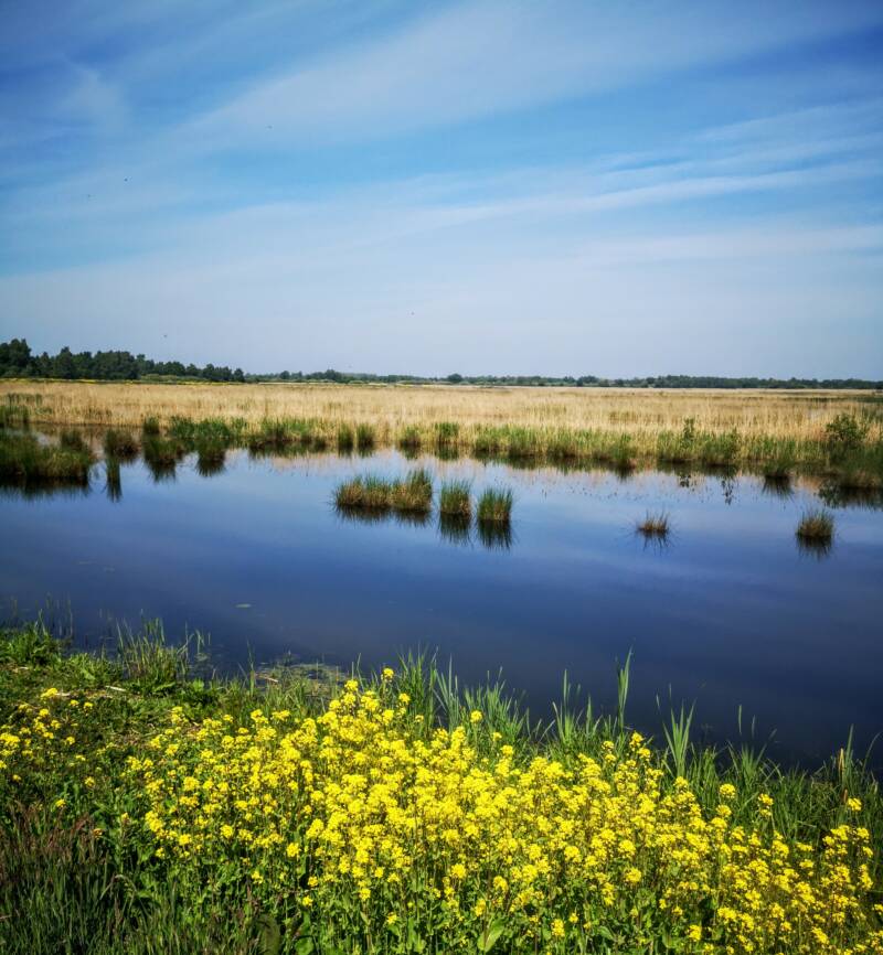 My Most Beautiful Hikes in Overijssel - The Netherlands