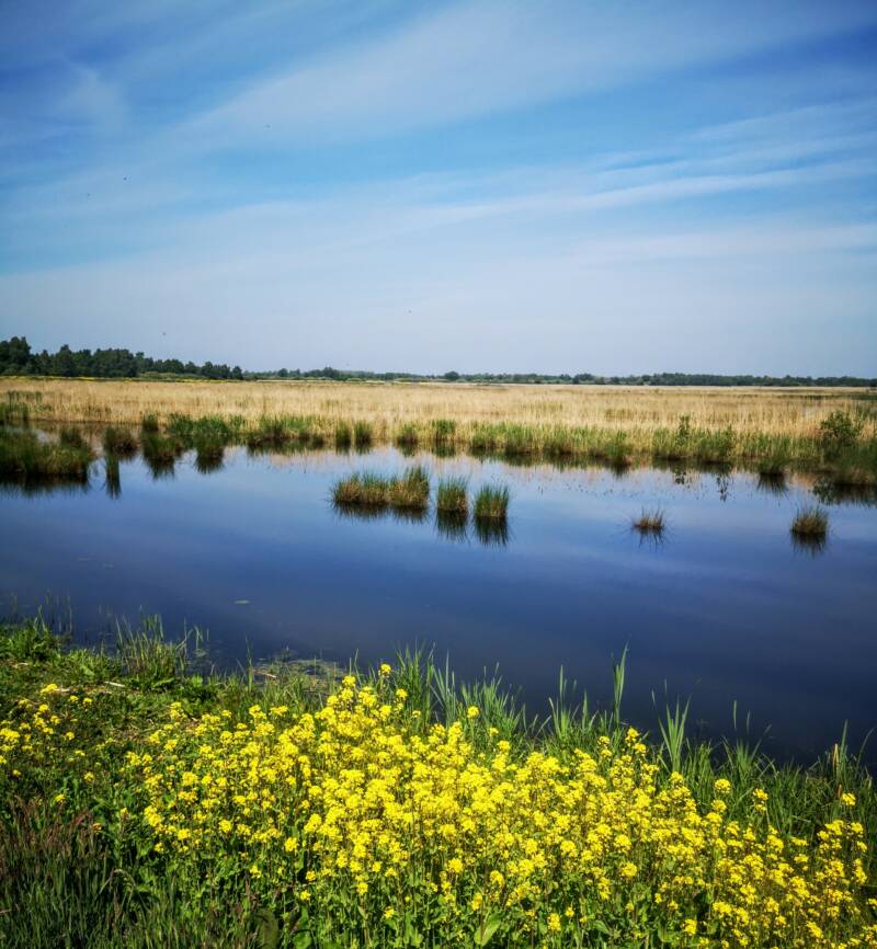 Nationaal Park Weerriben - Wieden