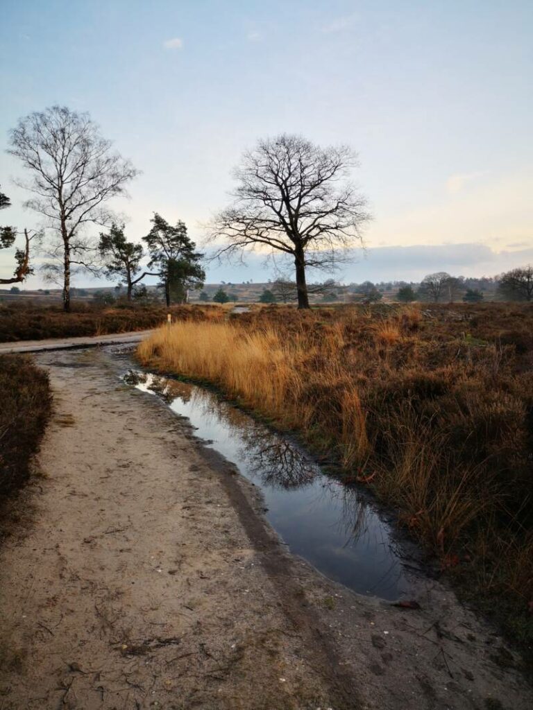 Sallandse Heuvelrug - Mooiste wandelingen overijssel